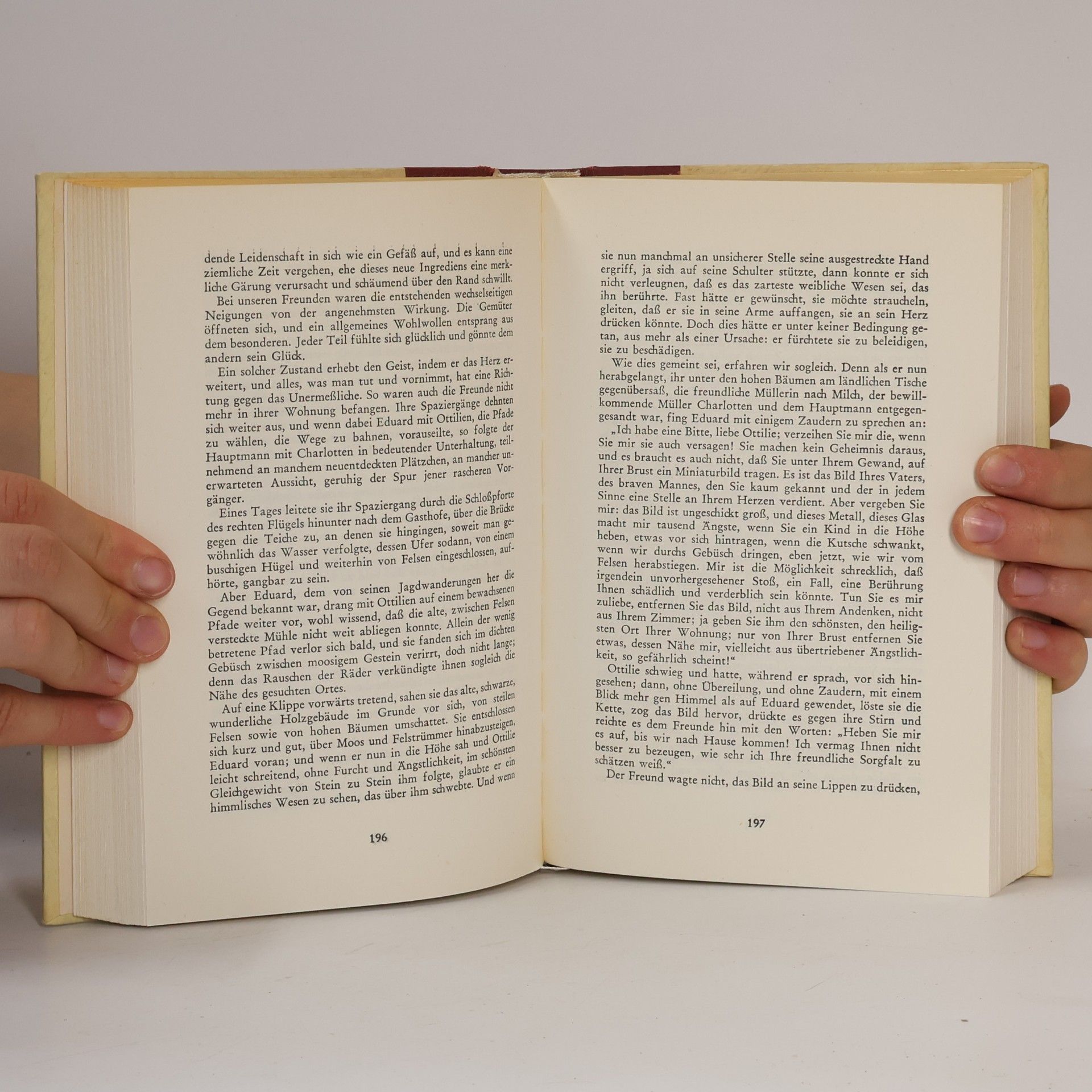 Johann Wolfgang von Goethe Die Leiden des jungen Werther; Das Märchen; Die Wahlverwandtschaften; Novelle