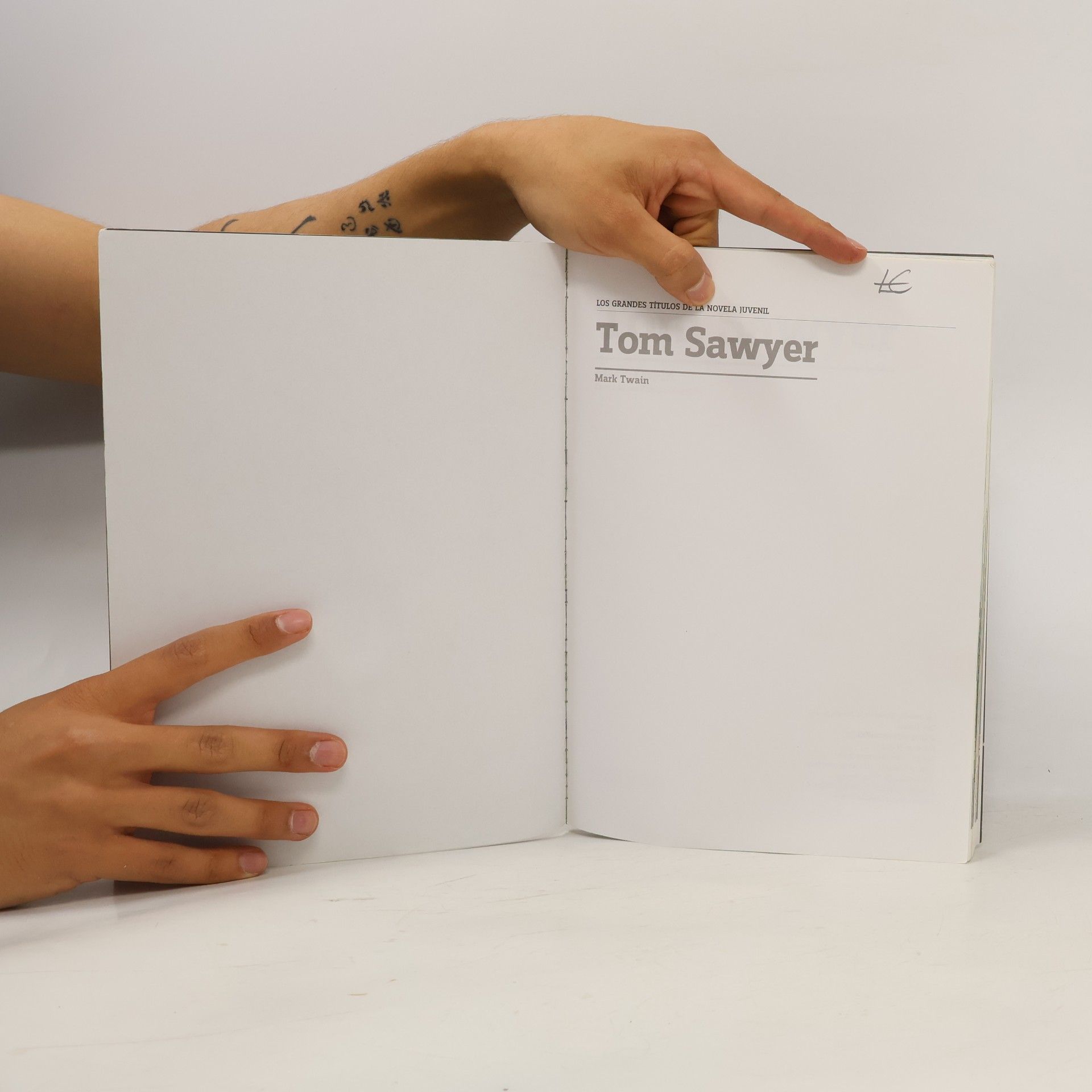 Mark Twain Los grandes títulos de la novela juvenil - 7: Tom Sawyer