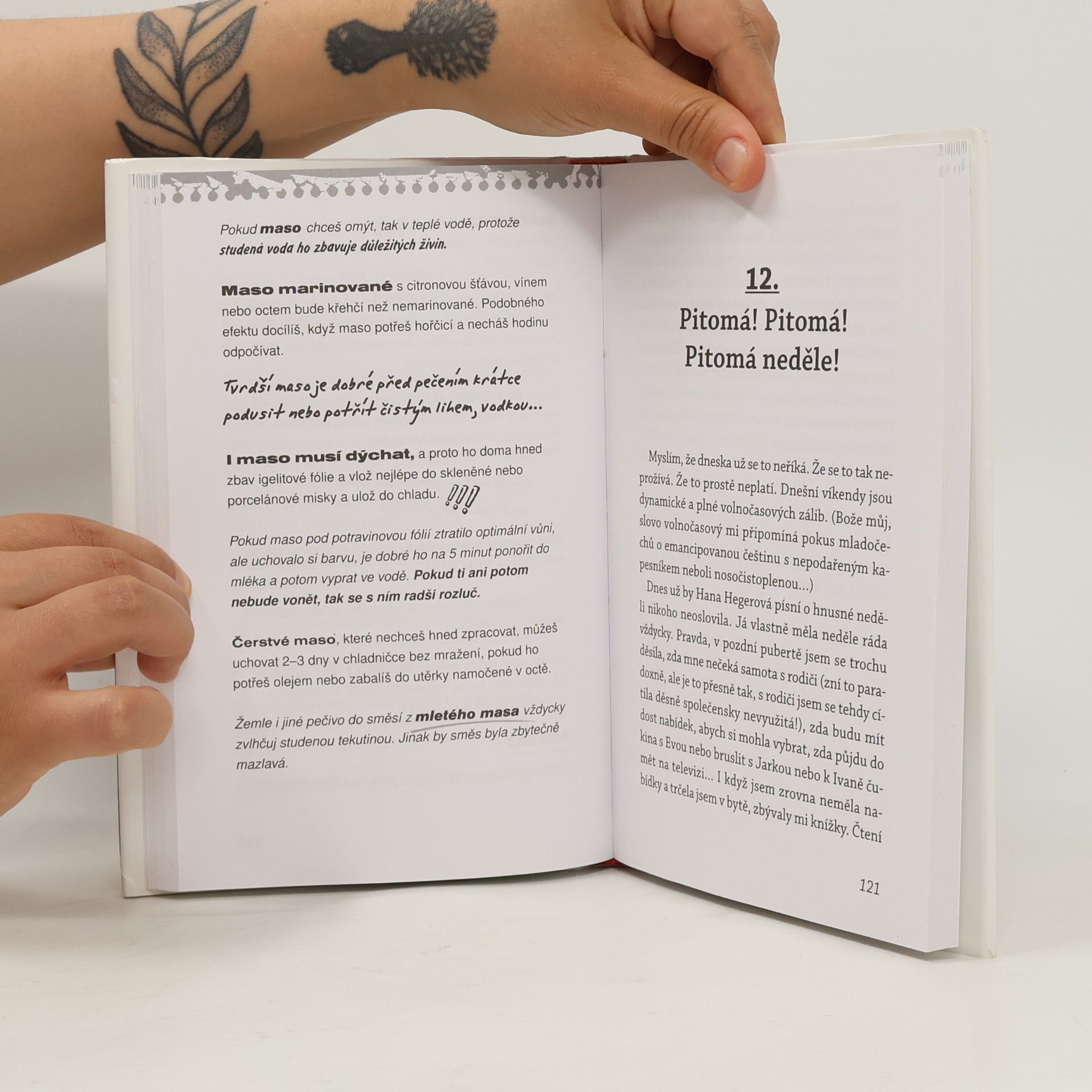Halina Pawlowská Až se mě dcera zeptá