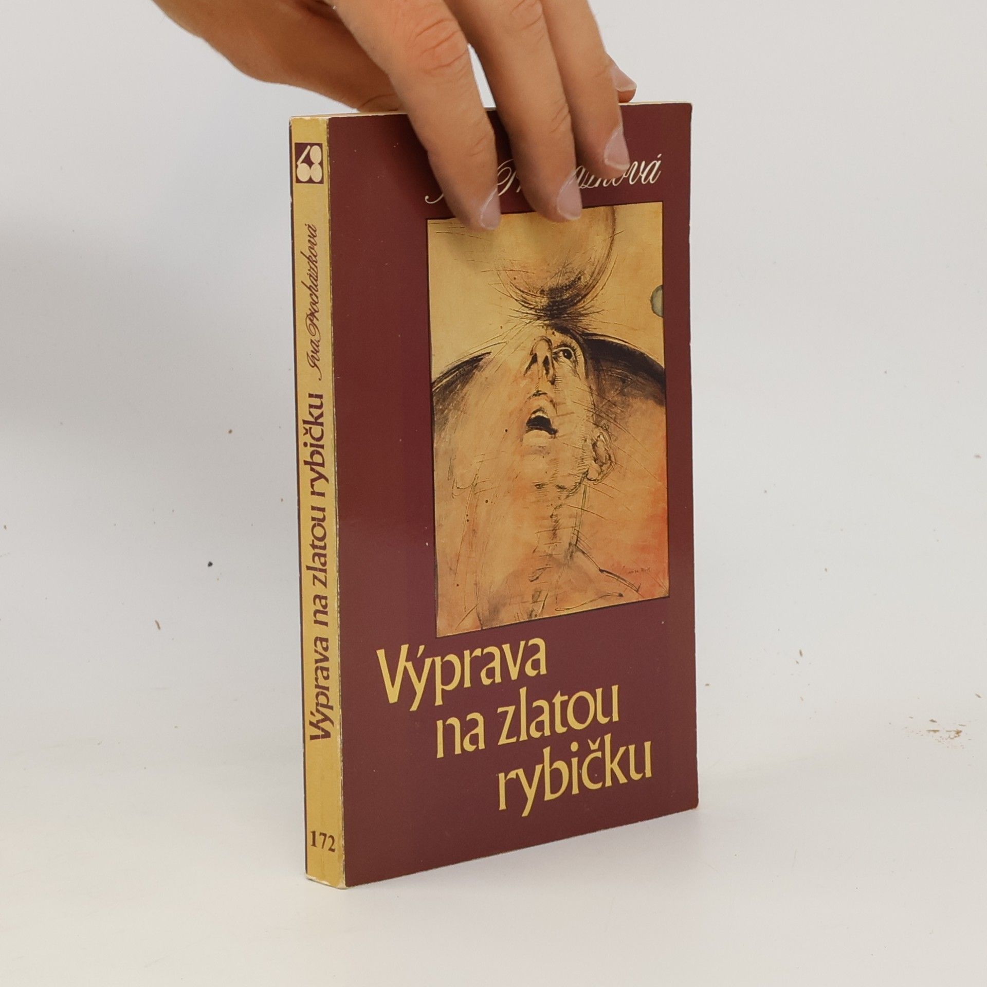Iva Procházková Výprava na zlatou rybičku