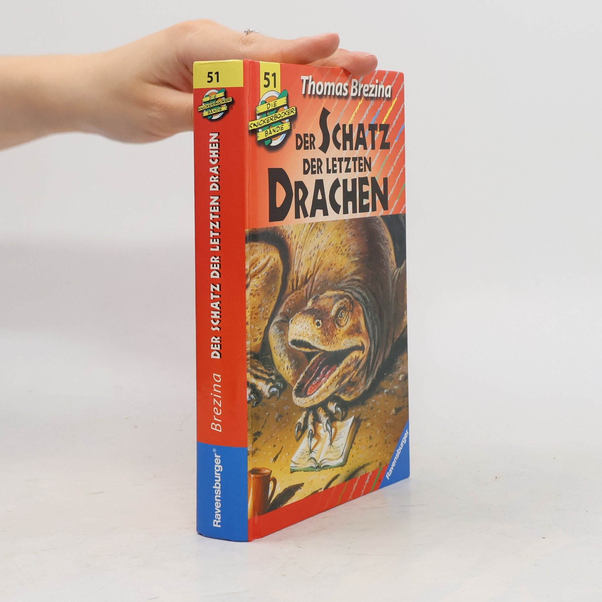 Thomas Brezina Die Knickerbocker-Bande: Der Schatz der letzten Drachen