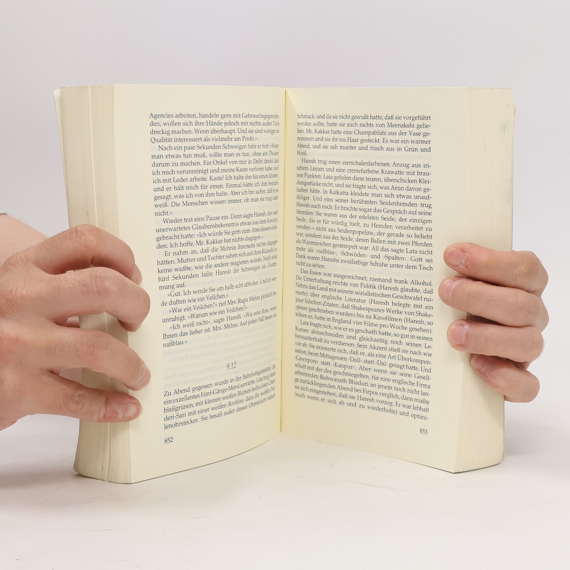 Vikram Seth Eine gute Partie