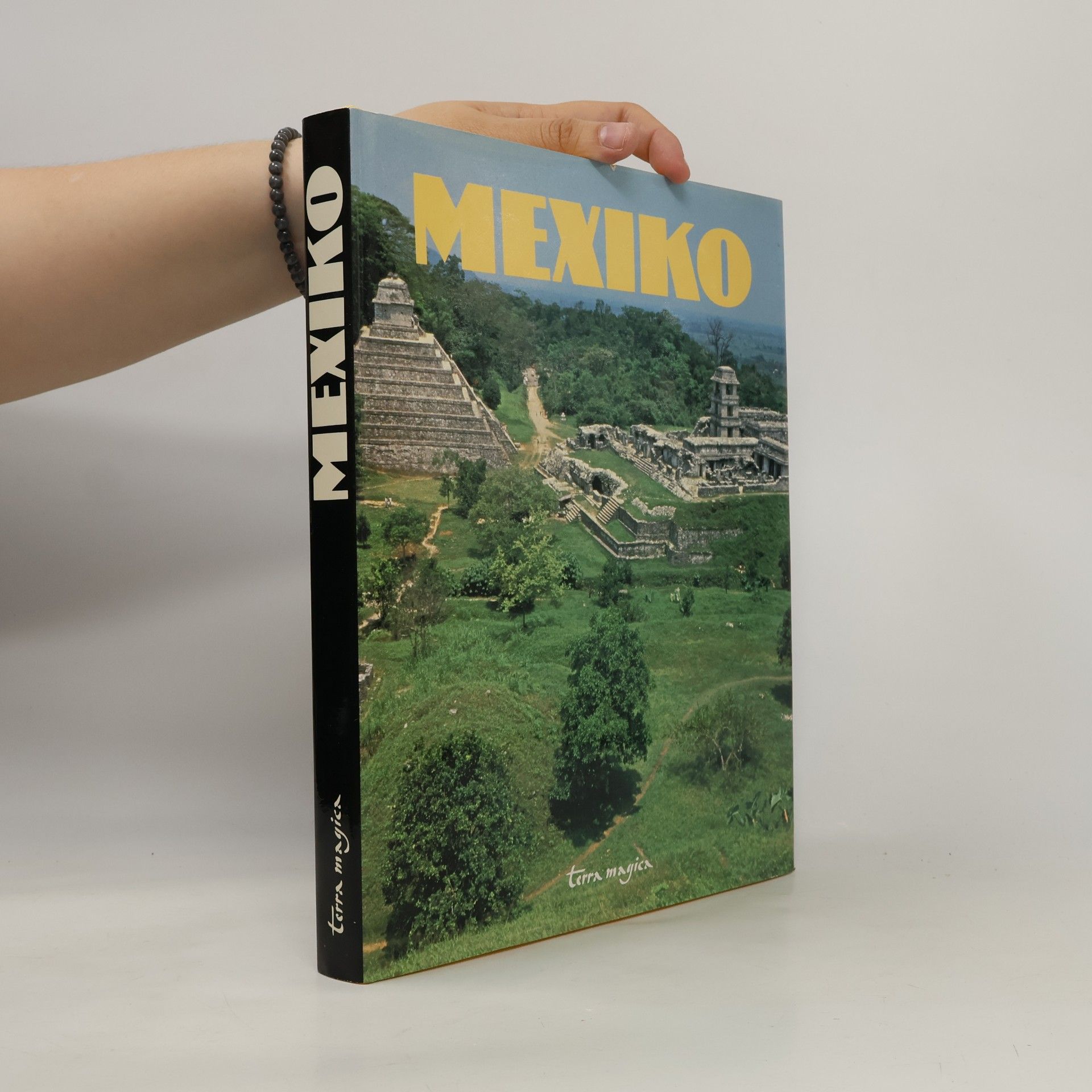 Autorenkollektiv Mexiko