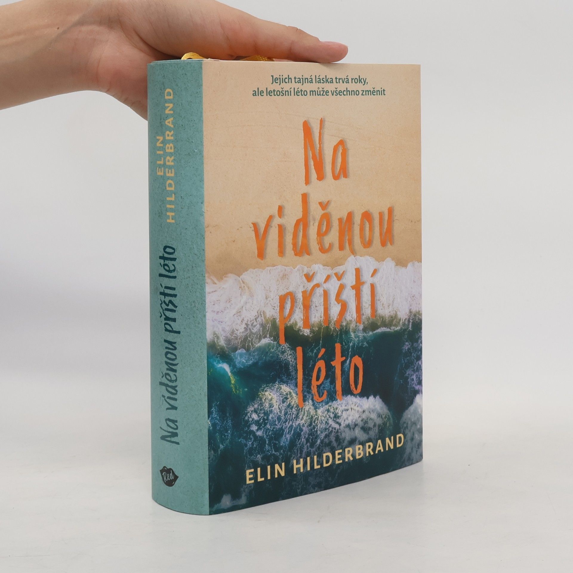Elin Hilderbrand Na viděnou příští léto