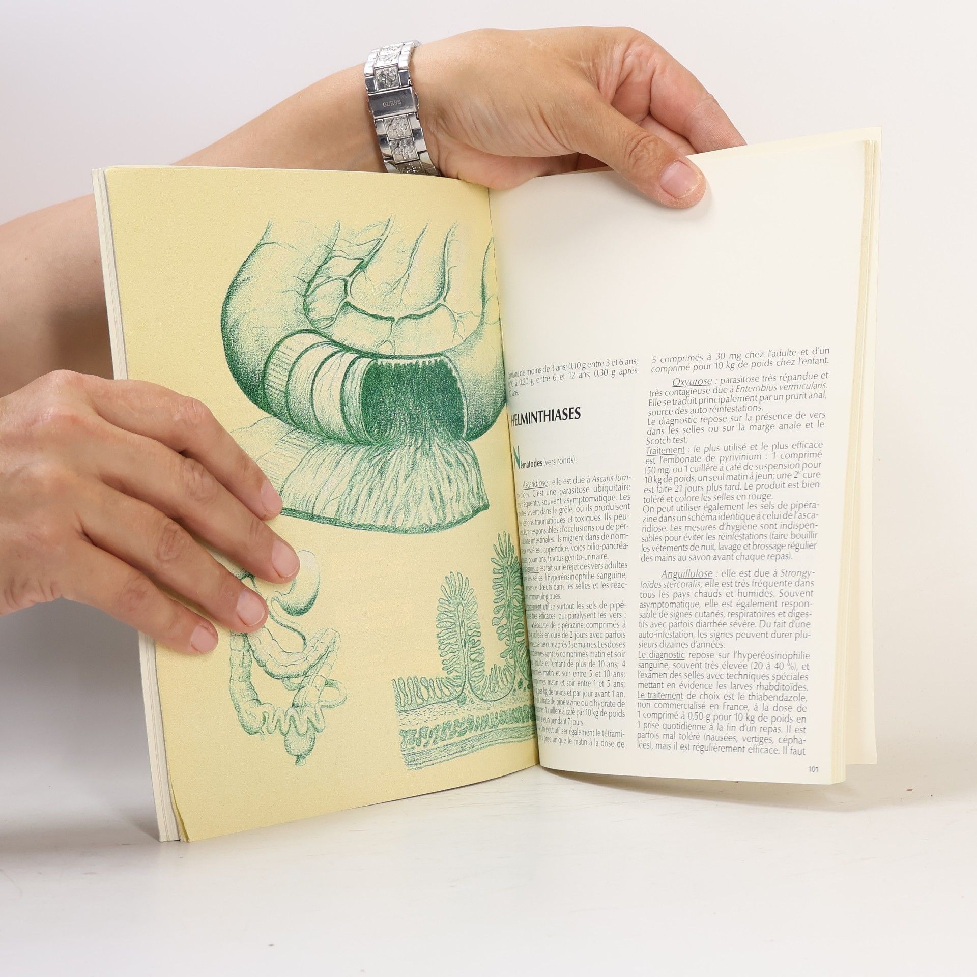 Autorenkollektiv Pathologie du tube digestif