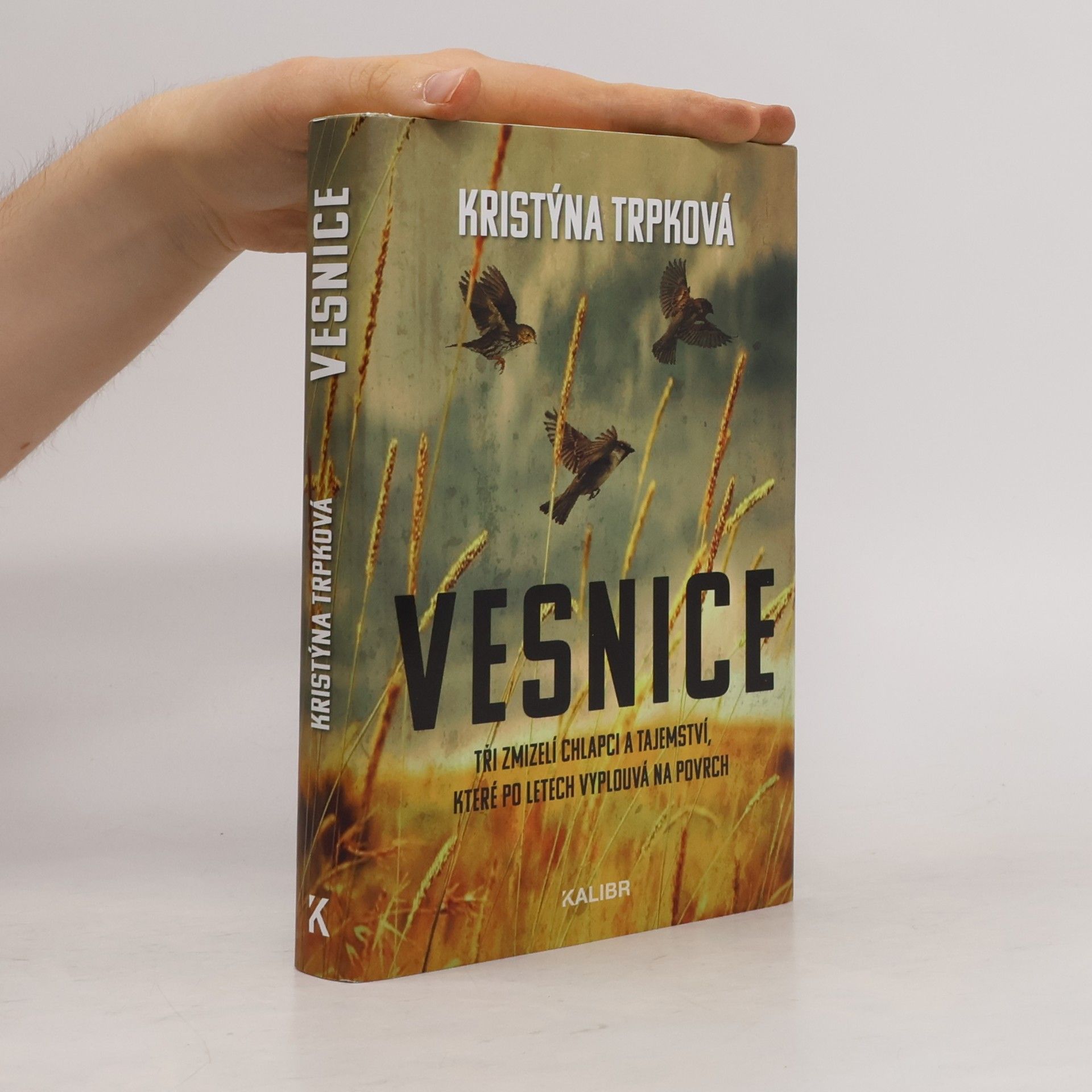 Kristýna Trpková Vesnice