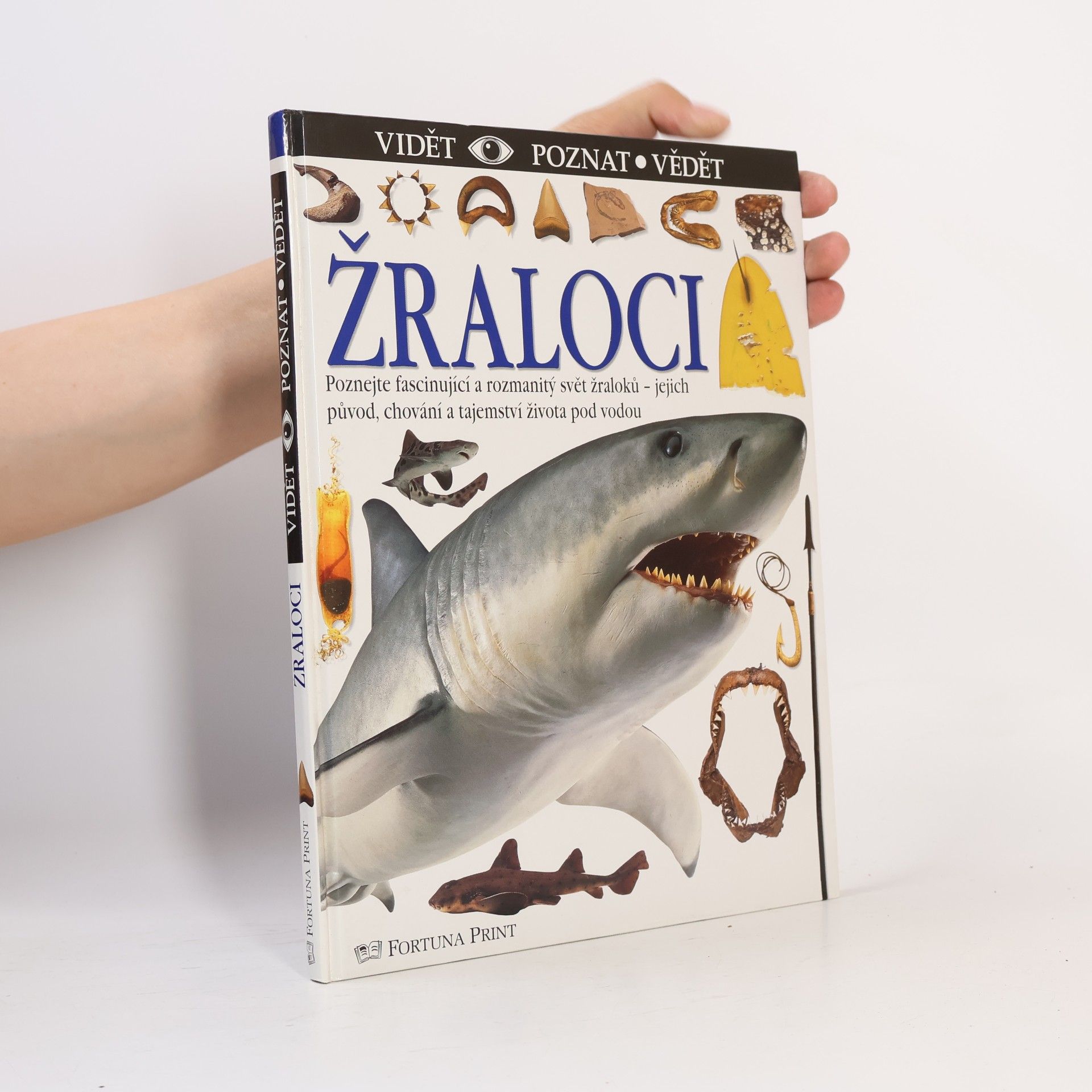 Žraloci