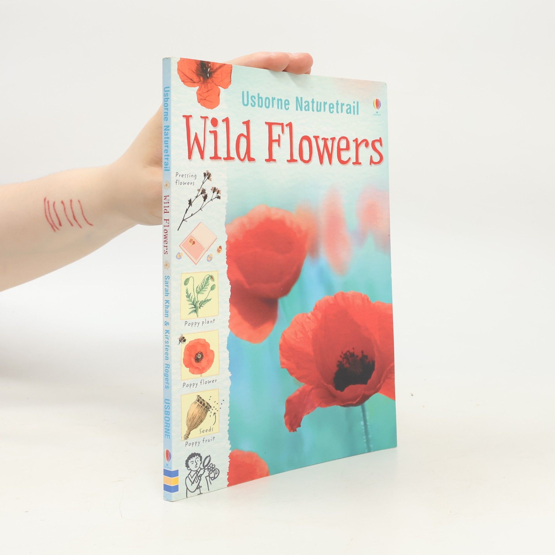 Sarah Khan Wild Flowers