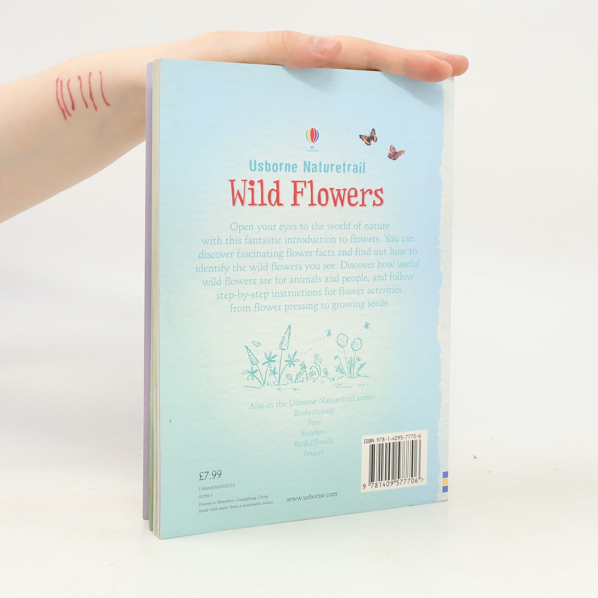 Sarah Khan Wild Flowers