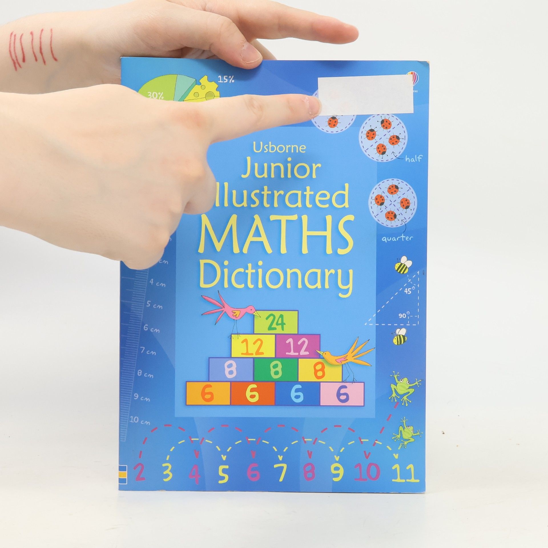 AA.VV. Junior Illustrated Maths Dictionary