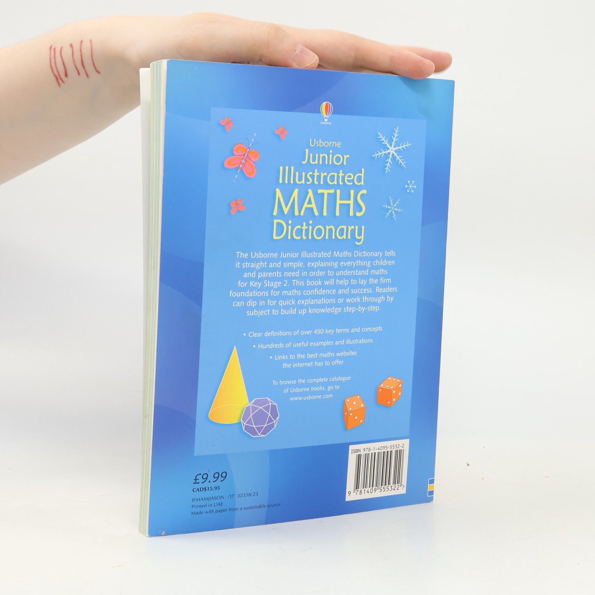 AA.VV. Junior Illustrated Maths Dictionary
