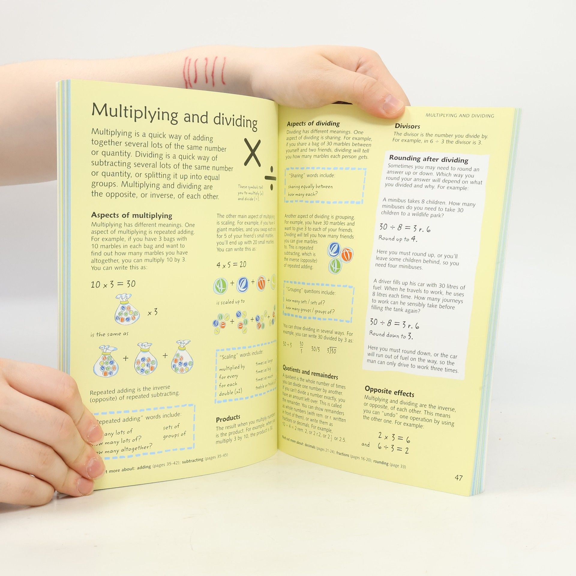 AA.VV. Junior Illustrated Maths Dictionary