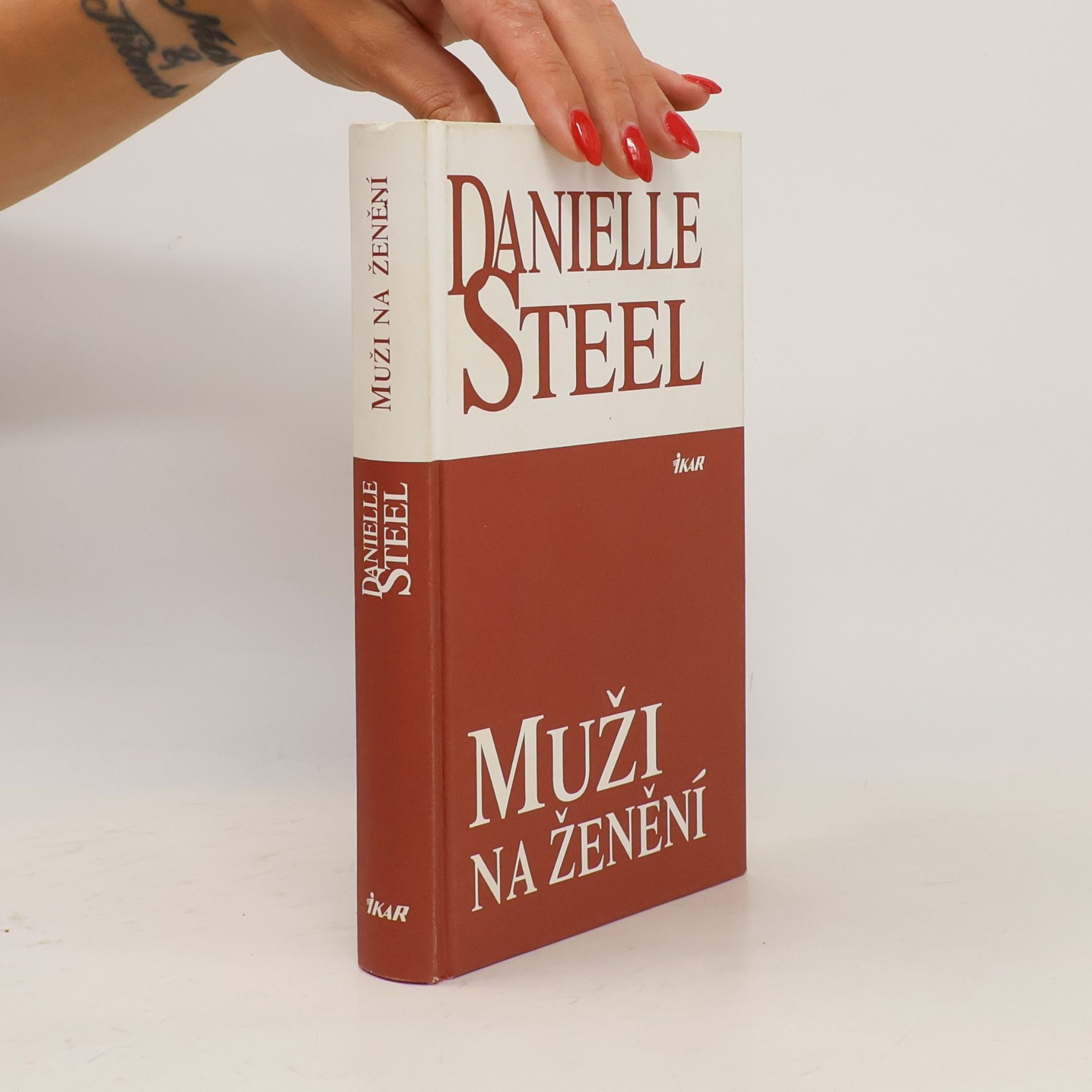 Danielle Steel Muži na ženění