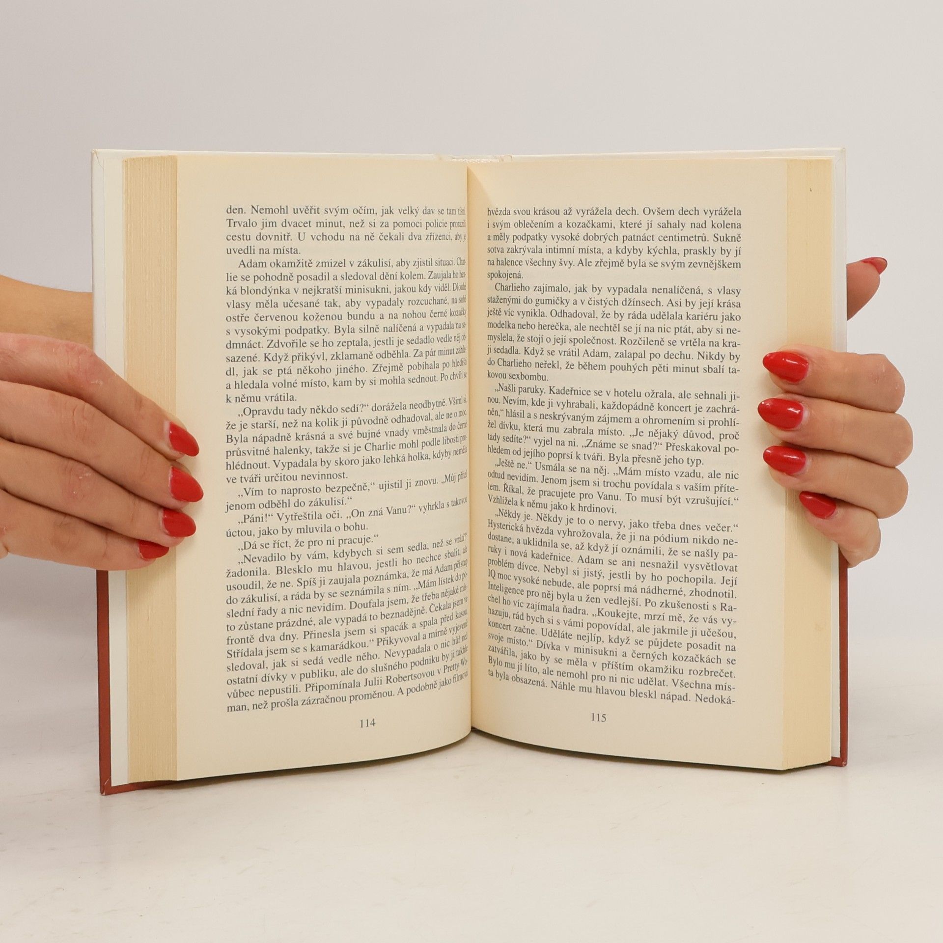Danielle Steel Muži na ženění