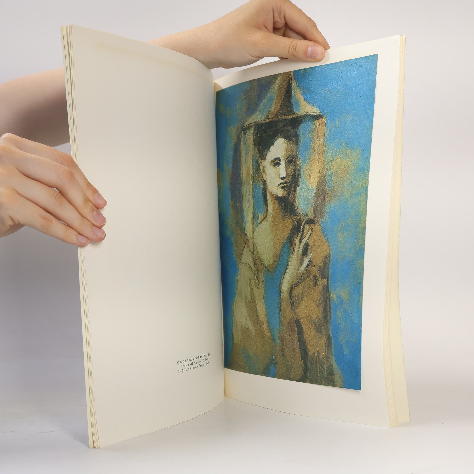 Collectif d'auteurs Pablo Picasso. Masters of World Painting