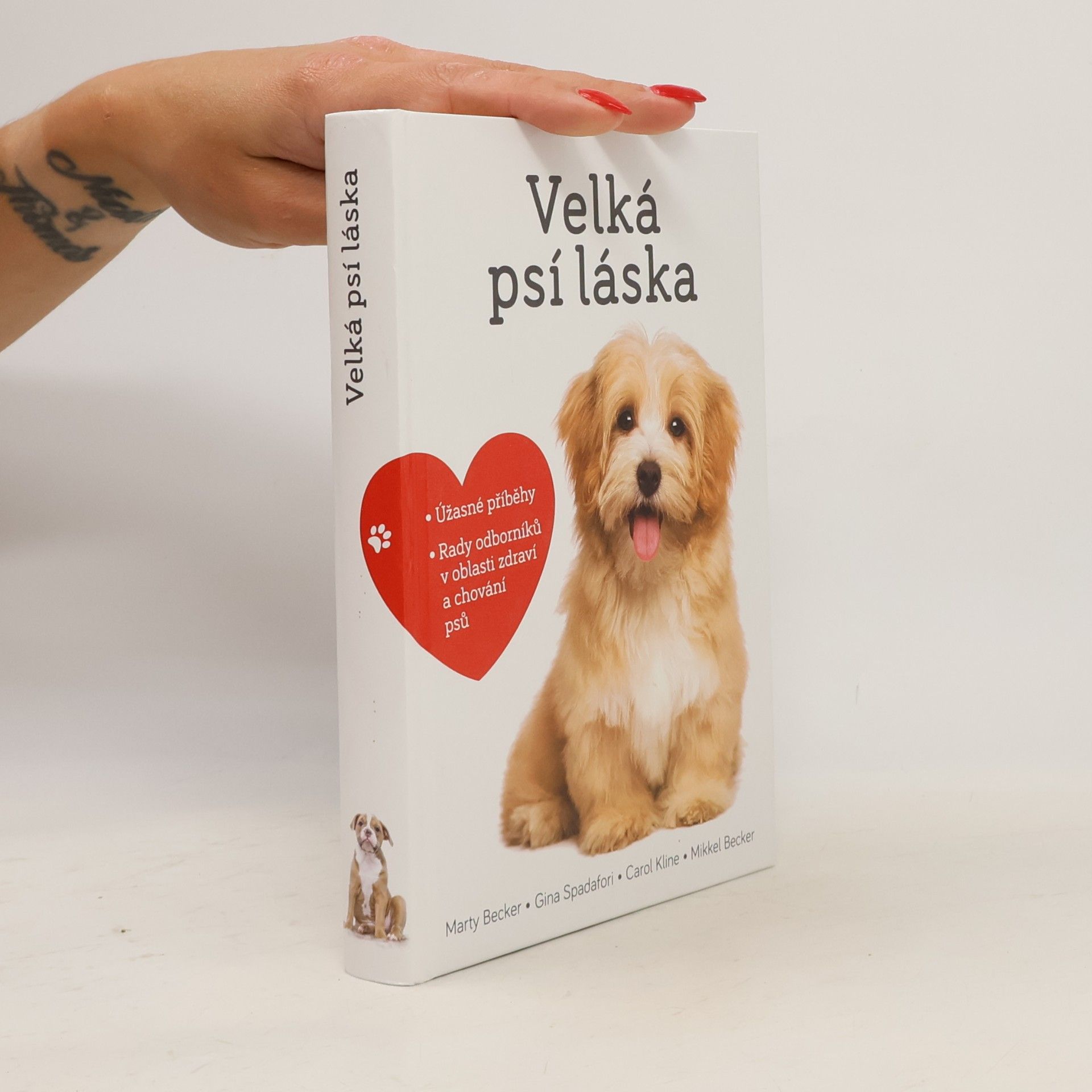 Velká psí láska: Příběhy, rady a úžasné fotografie psích bytostí