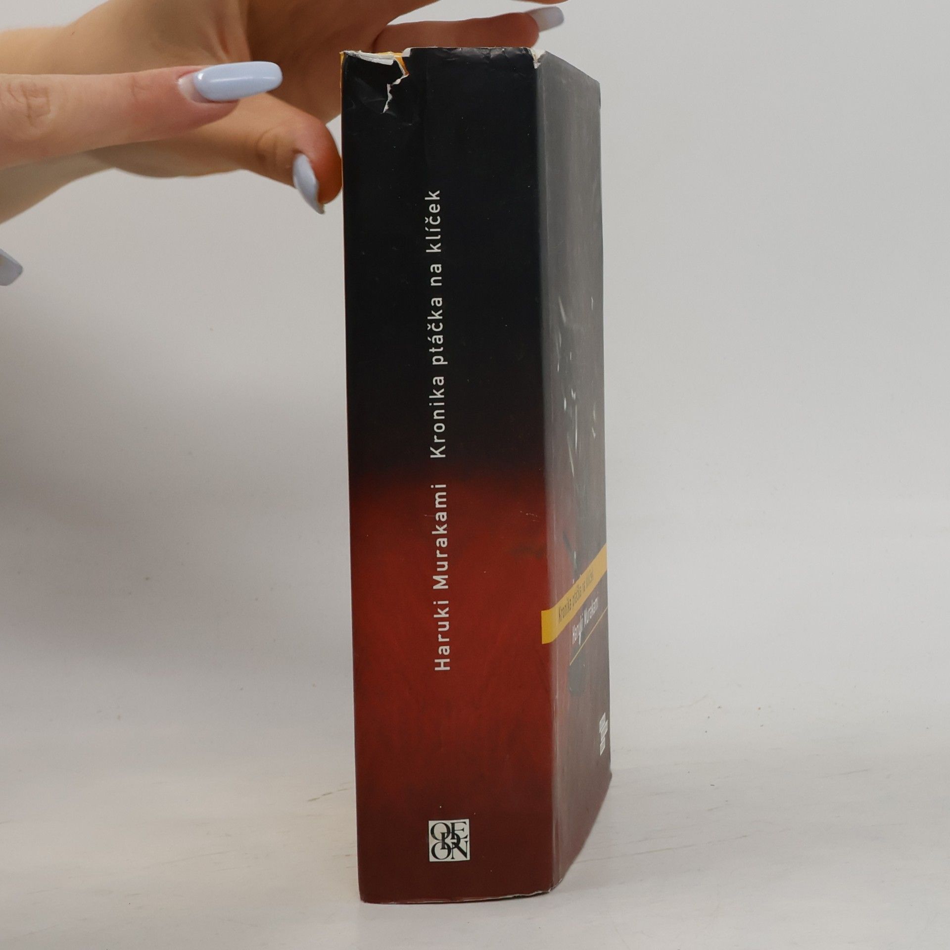 Haruki Murakami Kronika ptáčka na klíček