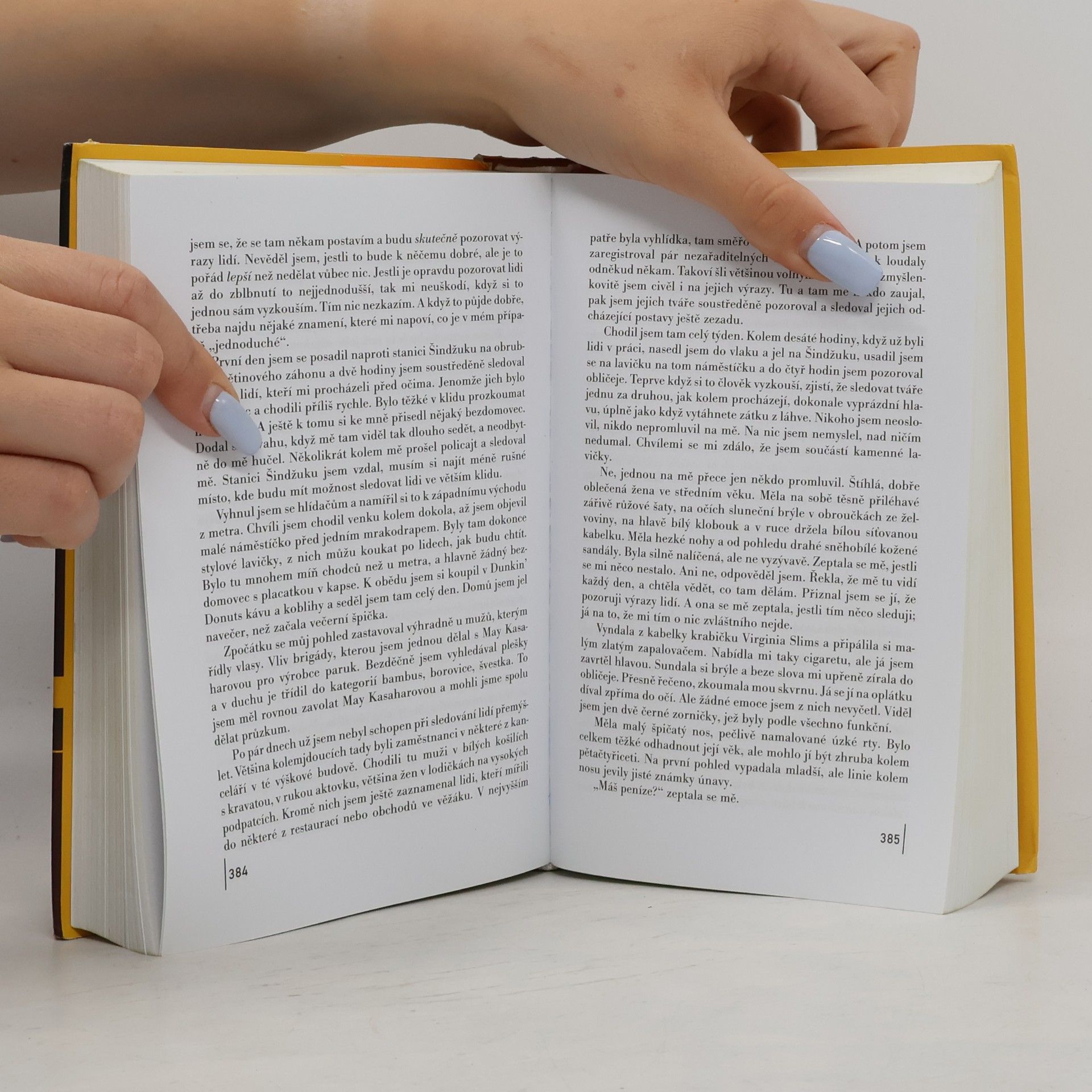 Haruki Murakami Kronika ptáčka na klíček