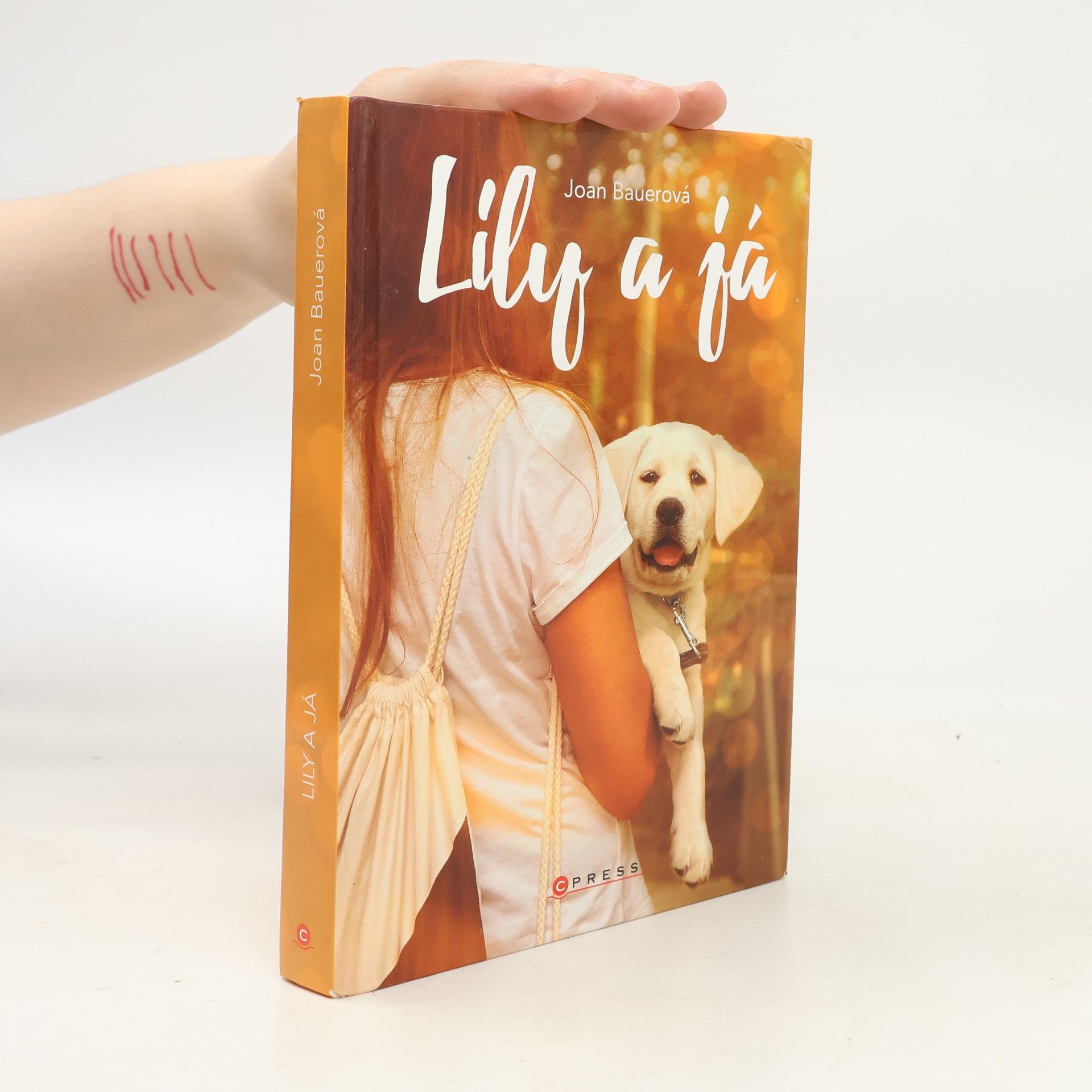 Joan Bauer Lily a já