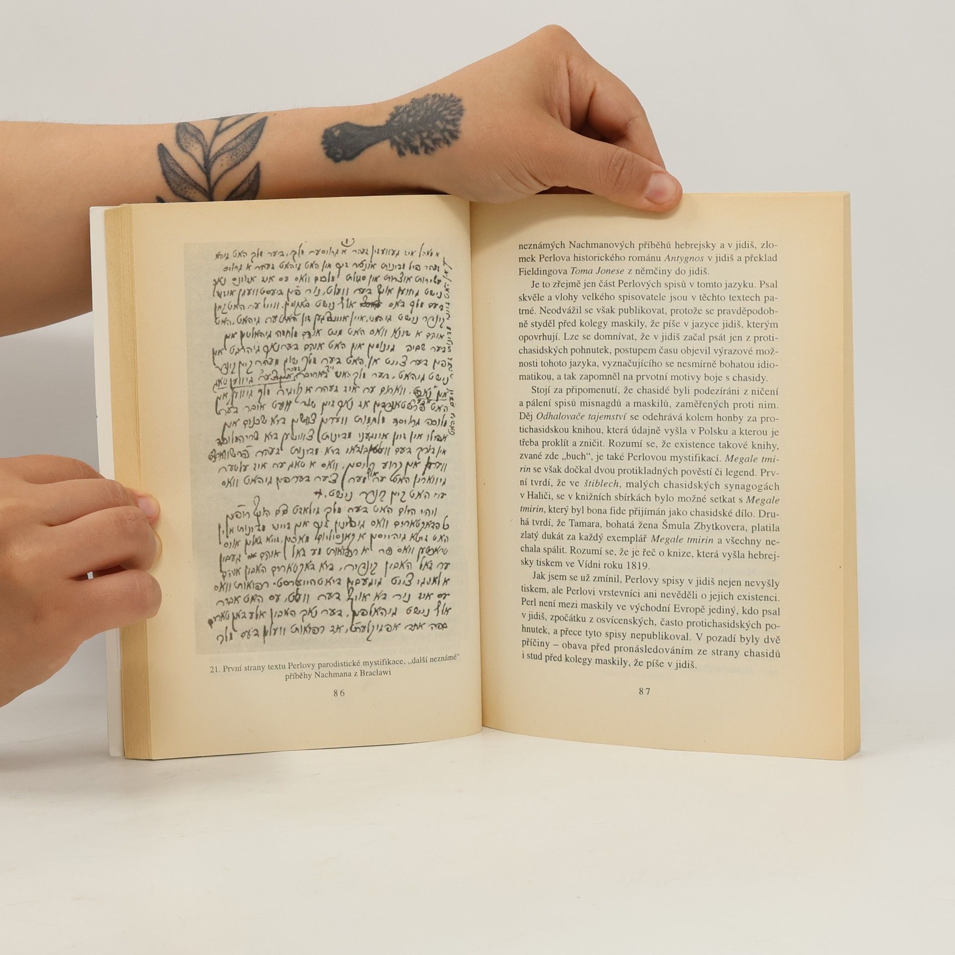 Václav Burian Dějiny literatury jidiš