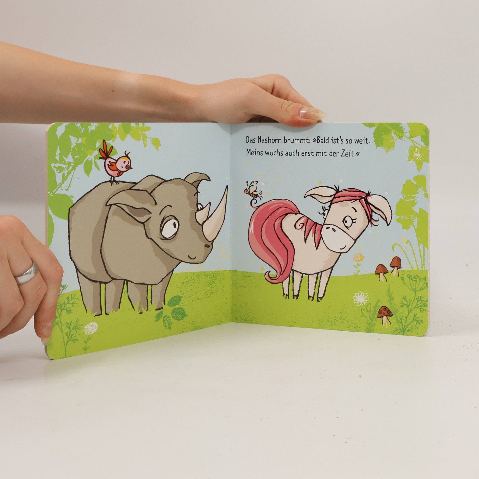 Tanja Jacobs Das Einhorn ohne Horn vorn