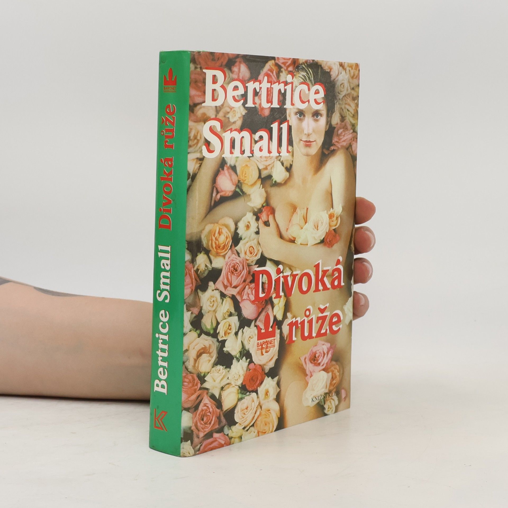 Bertrice Small Divoká růže