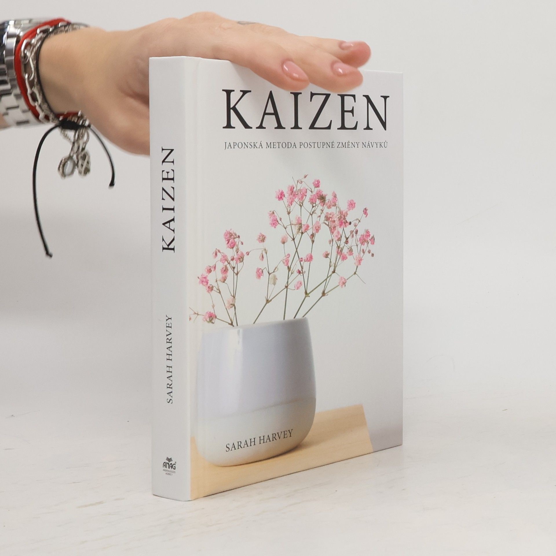 Sarah Harvey Kaizen: Japonská metoda postupné změny návyků