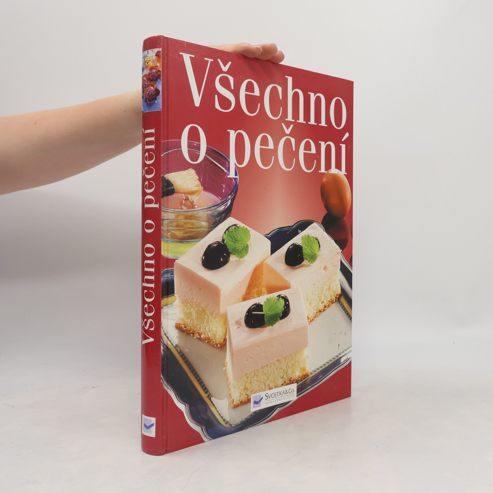 Autorenkollektiv Všechno o pečení