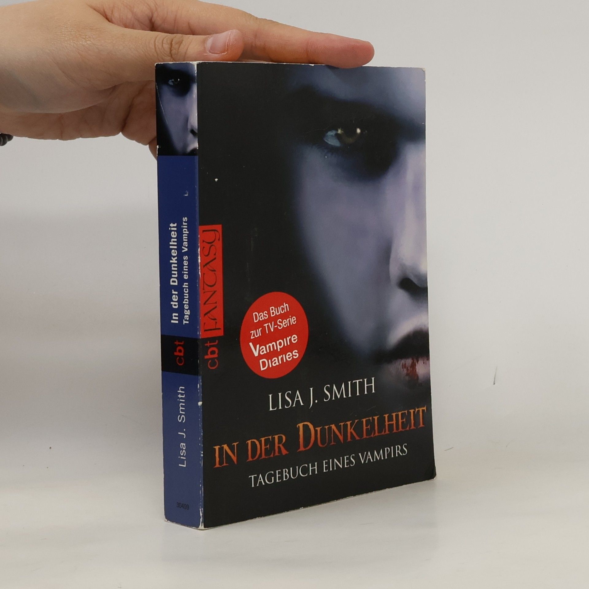 L. J. Smith In der Dunkelheit