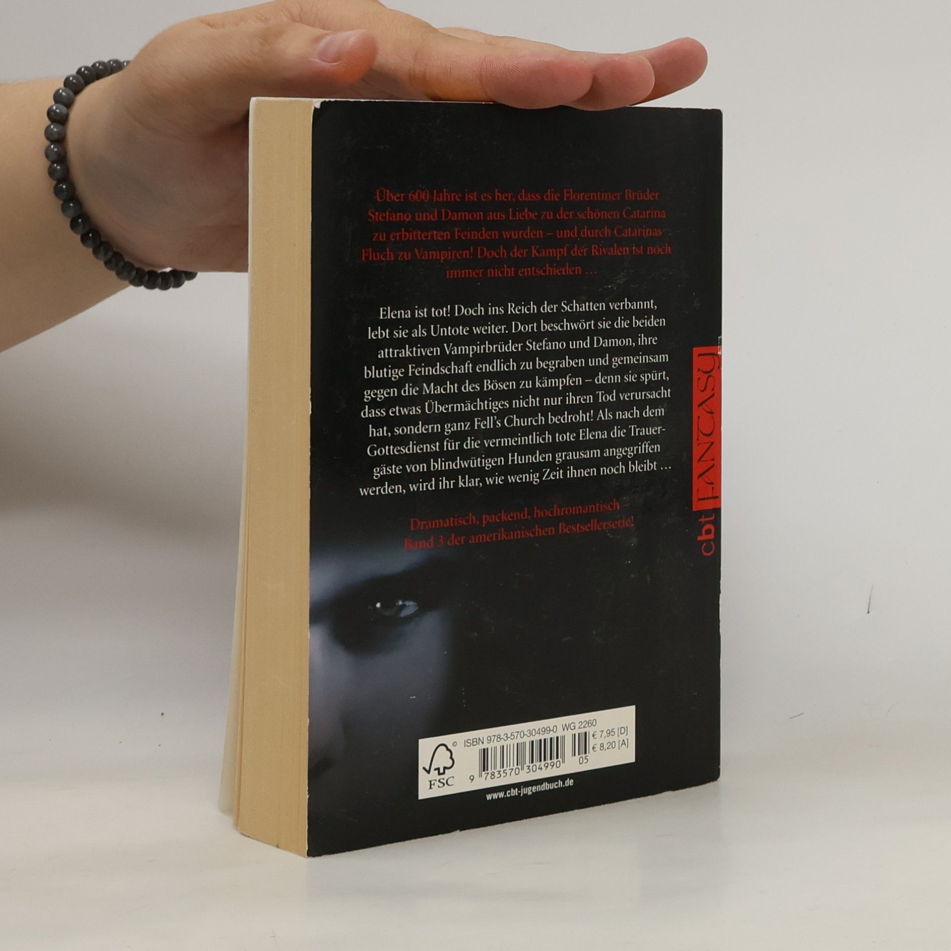 L. J. Smith In der Dunkelheit