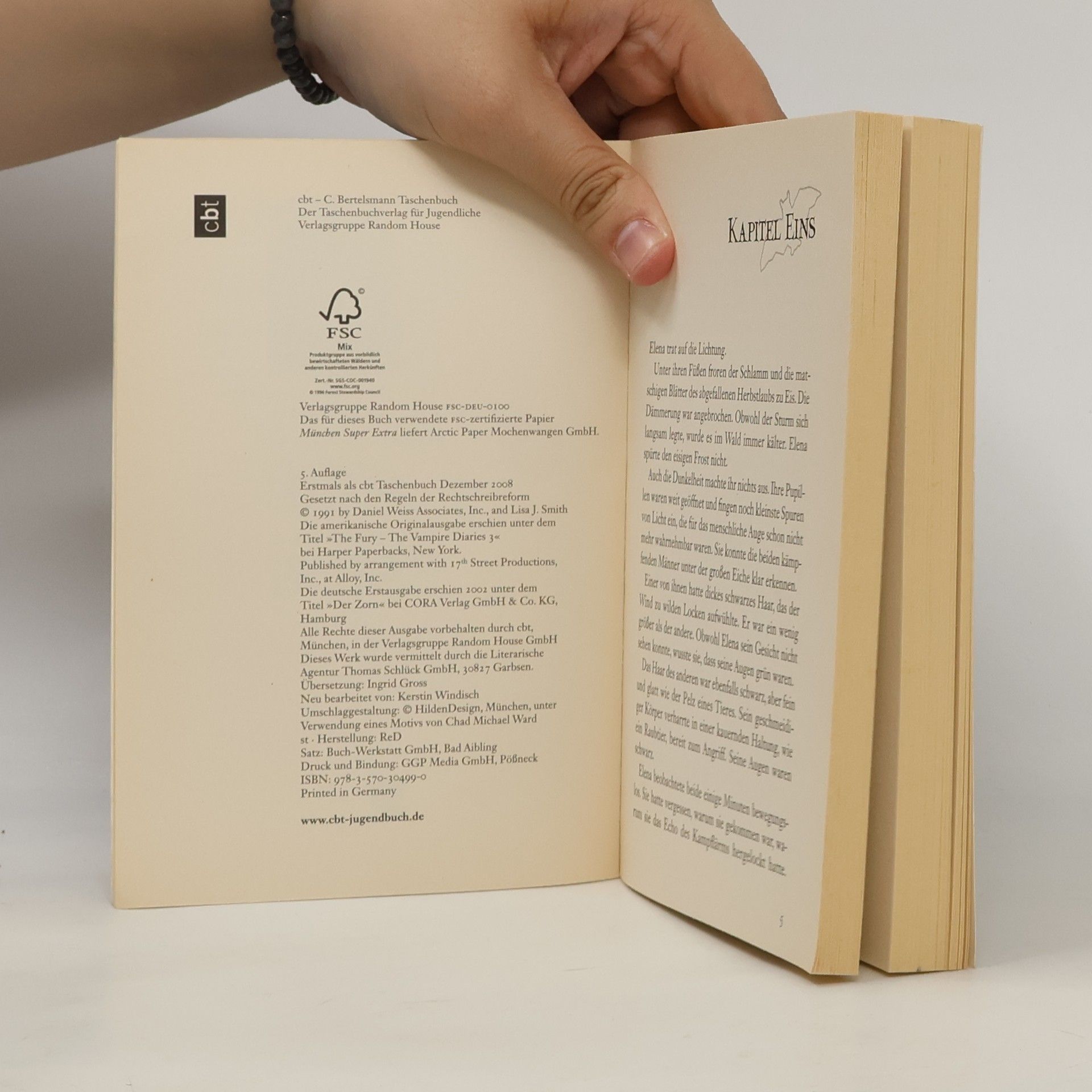 L. J. Smith In der Dunkelheit