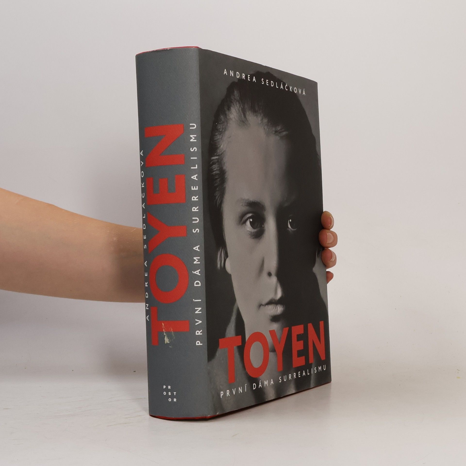 Toyen: první dáma surrealismu