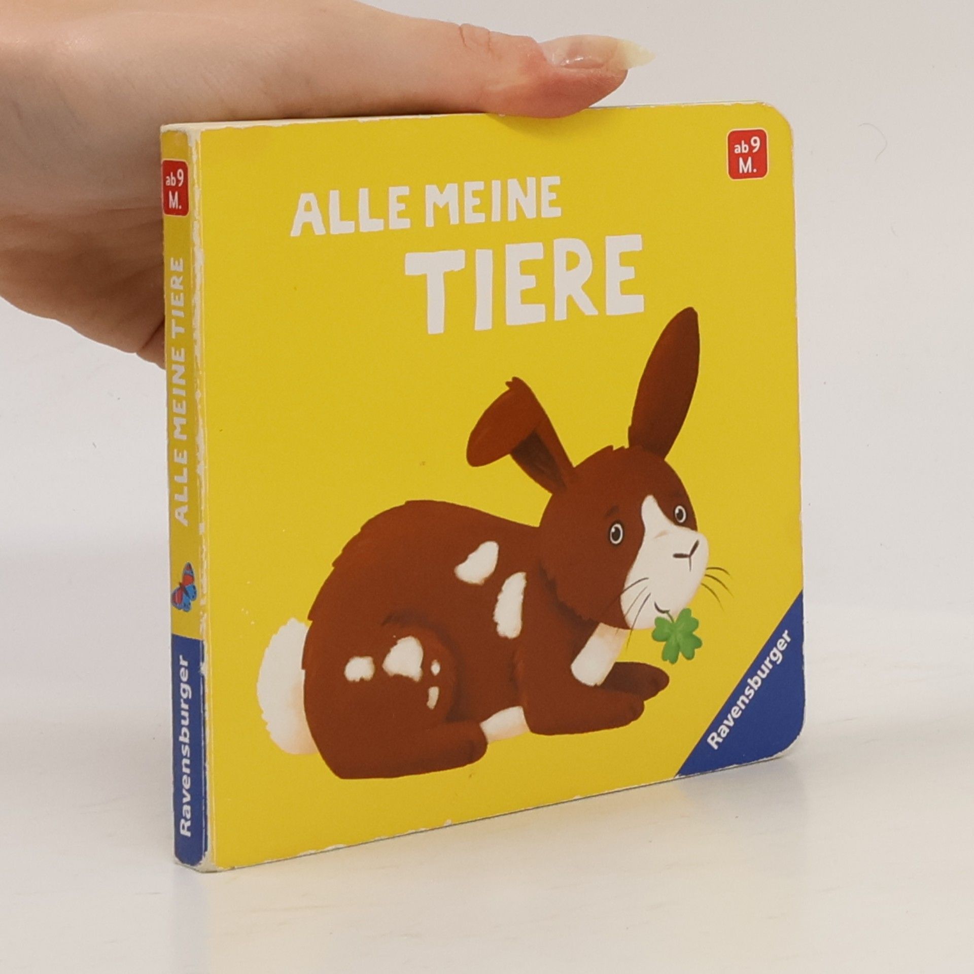 Meike Teichmann Alle meine Tiere