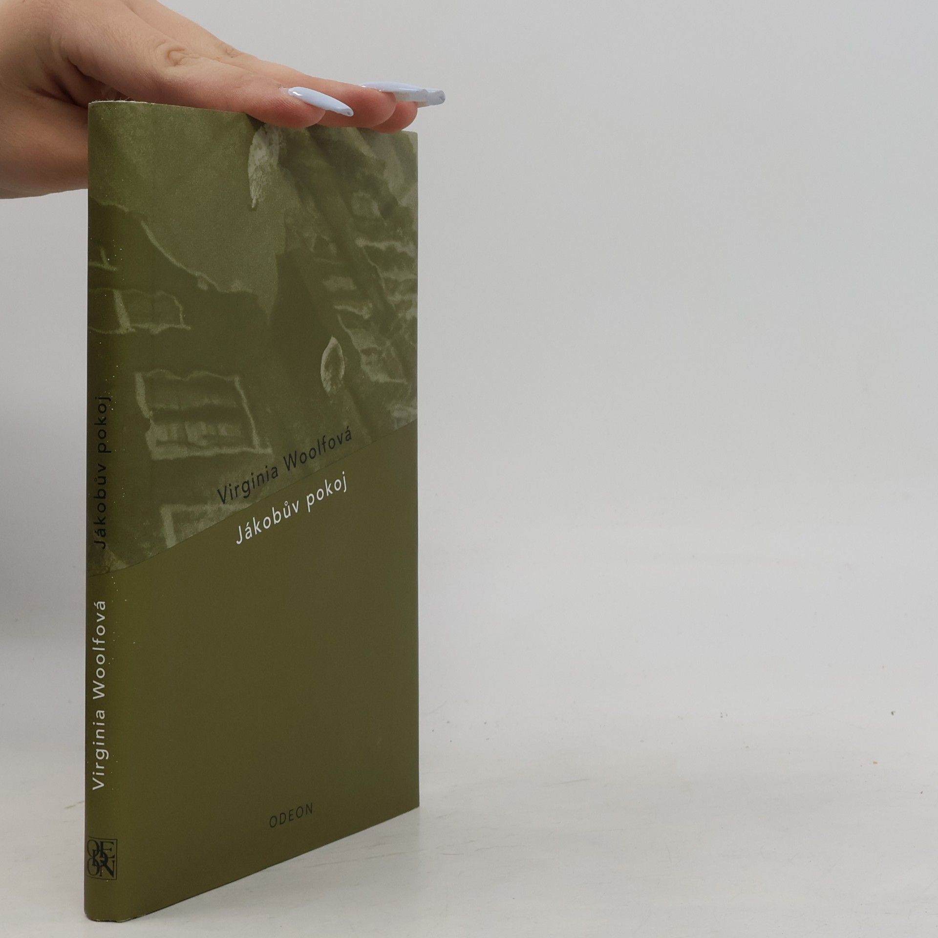 Virginia Woolf Jákobův pokoj