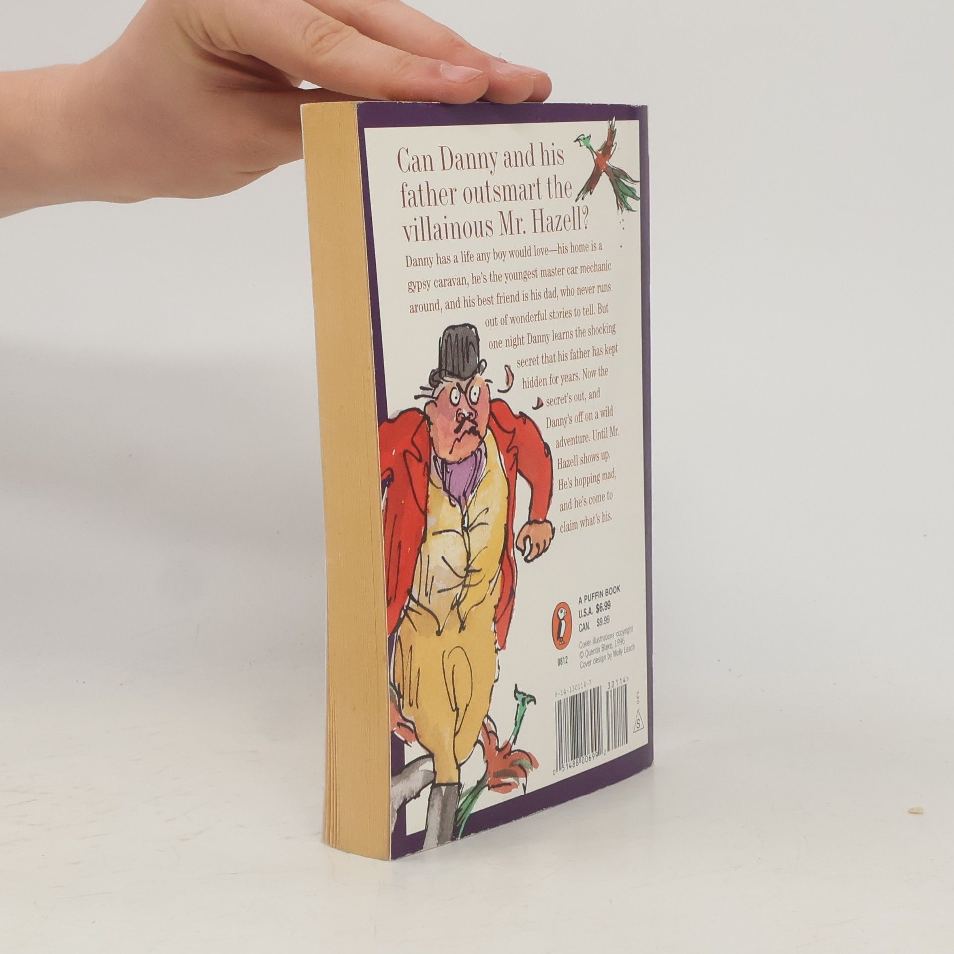 Roald Dahl Danny the Champion of the World