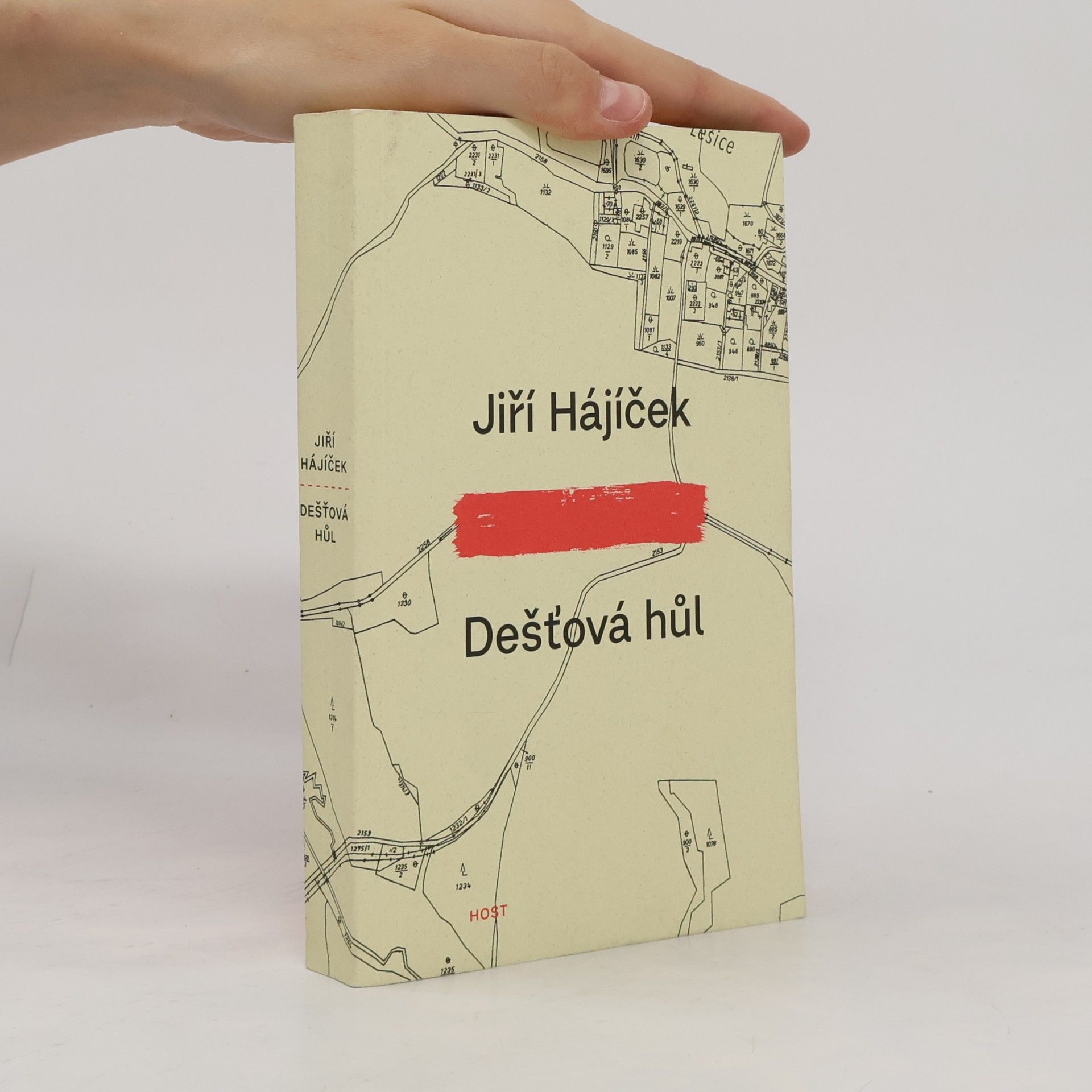 Jiří Hájíček Dešťová hůl