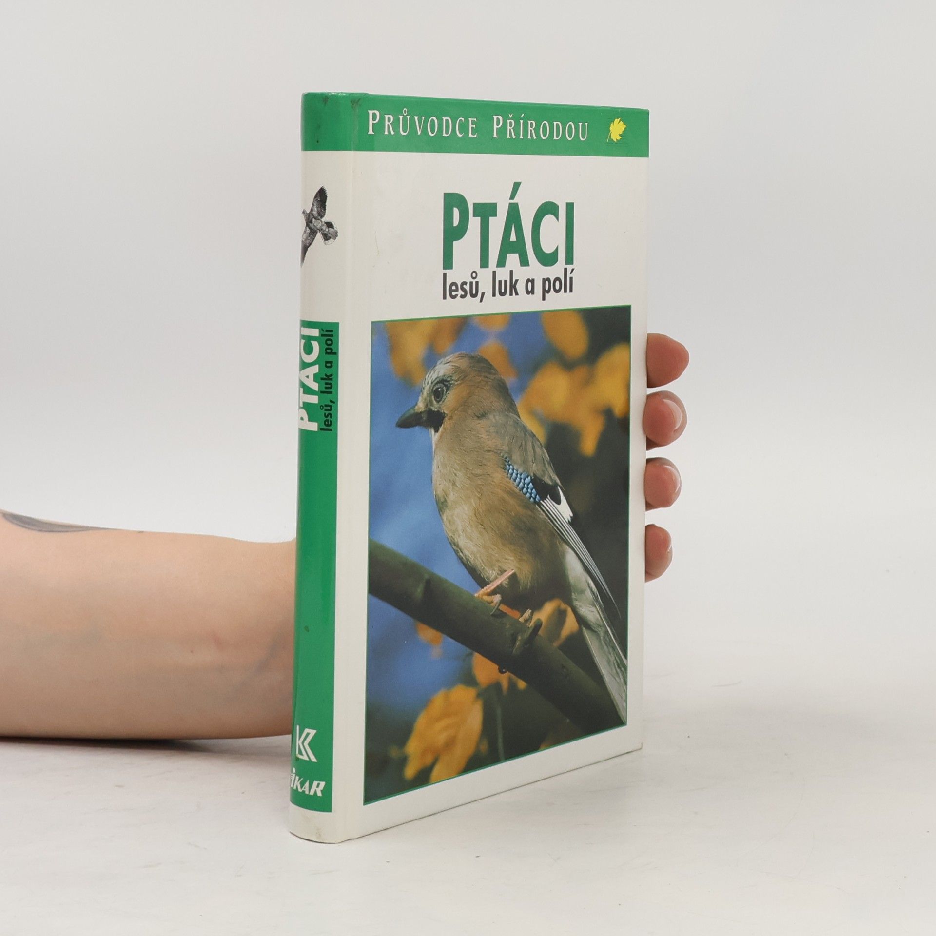 Friedhelm Sauer Ptáci lesů, luk a polí