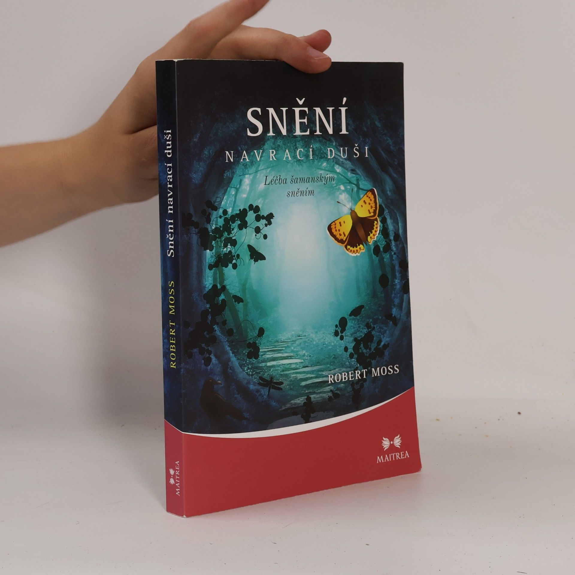 Robert Moss Snění navrací duši. Léčba šamanským sněním