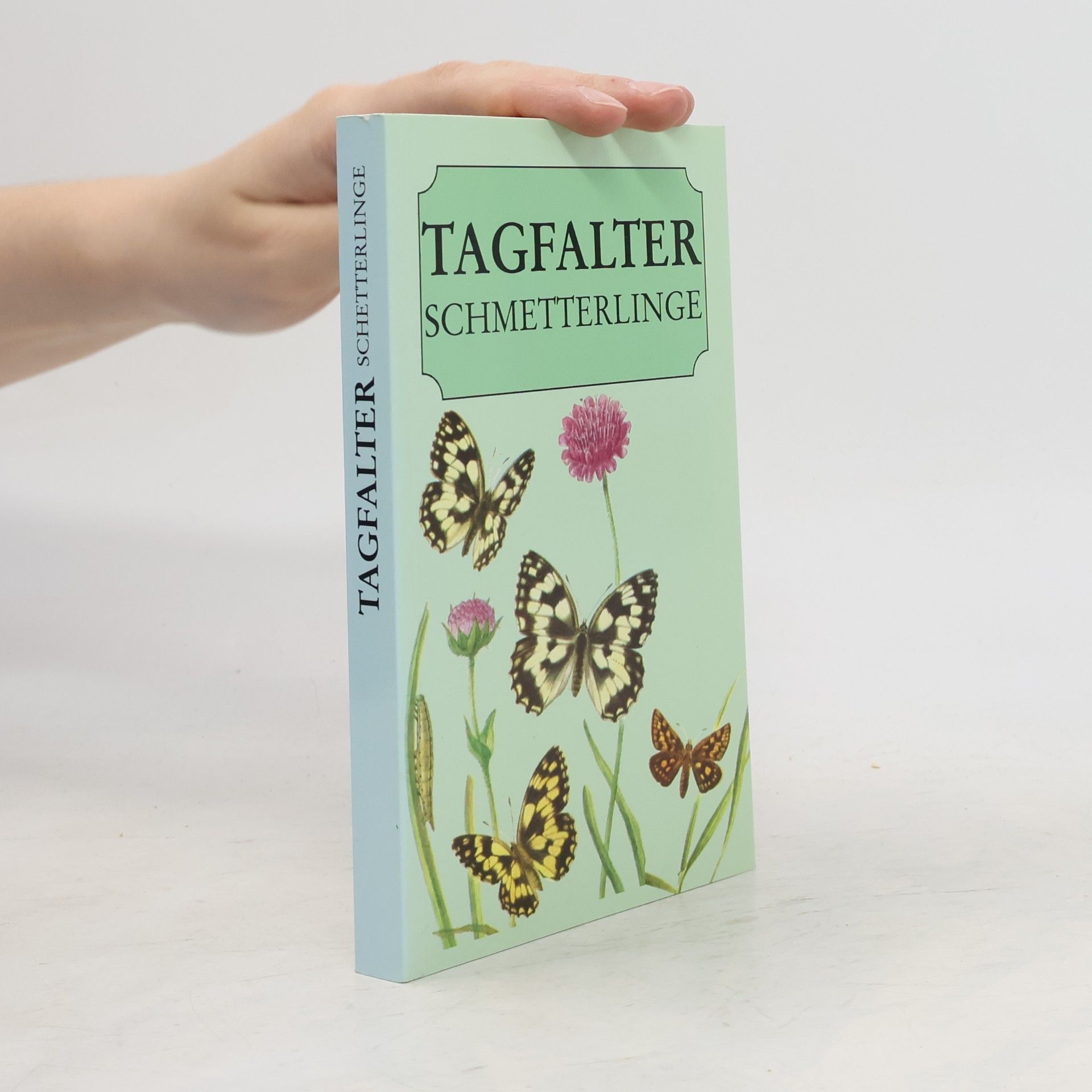 Autorenkollektiv Tagfalter. Schmetterlinge