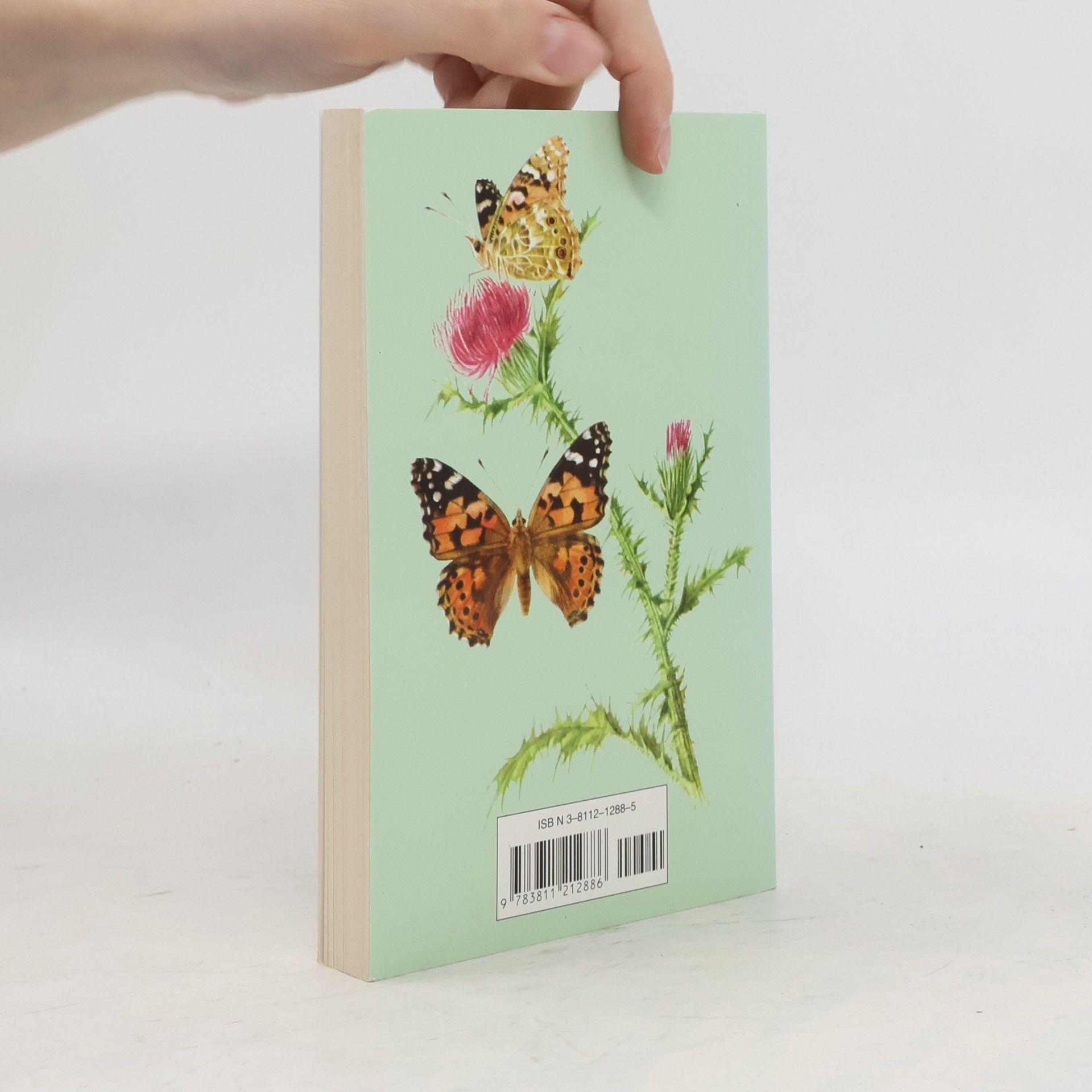 Autorenkollektiv Tagfalter. Schmetterlinge