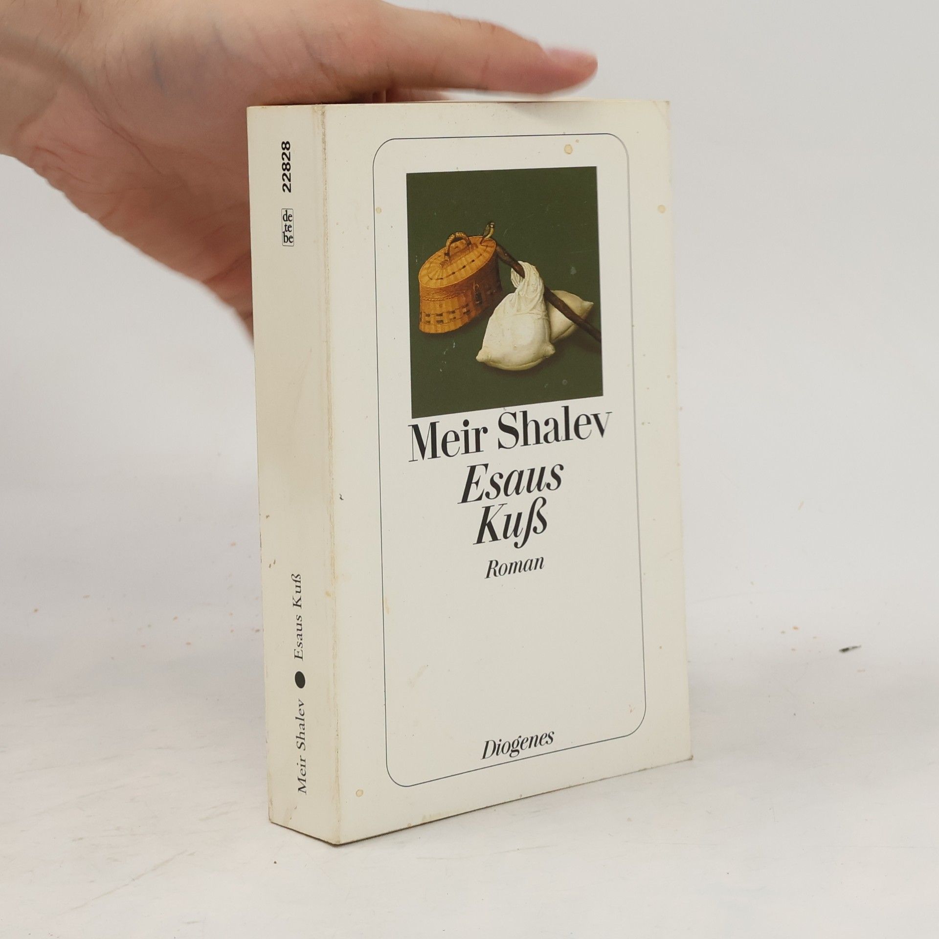 Meʾir Shalev Esaus Kuß