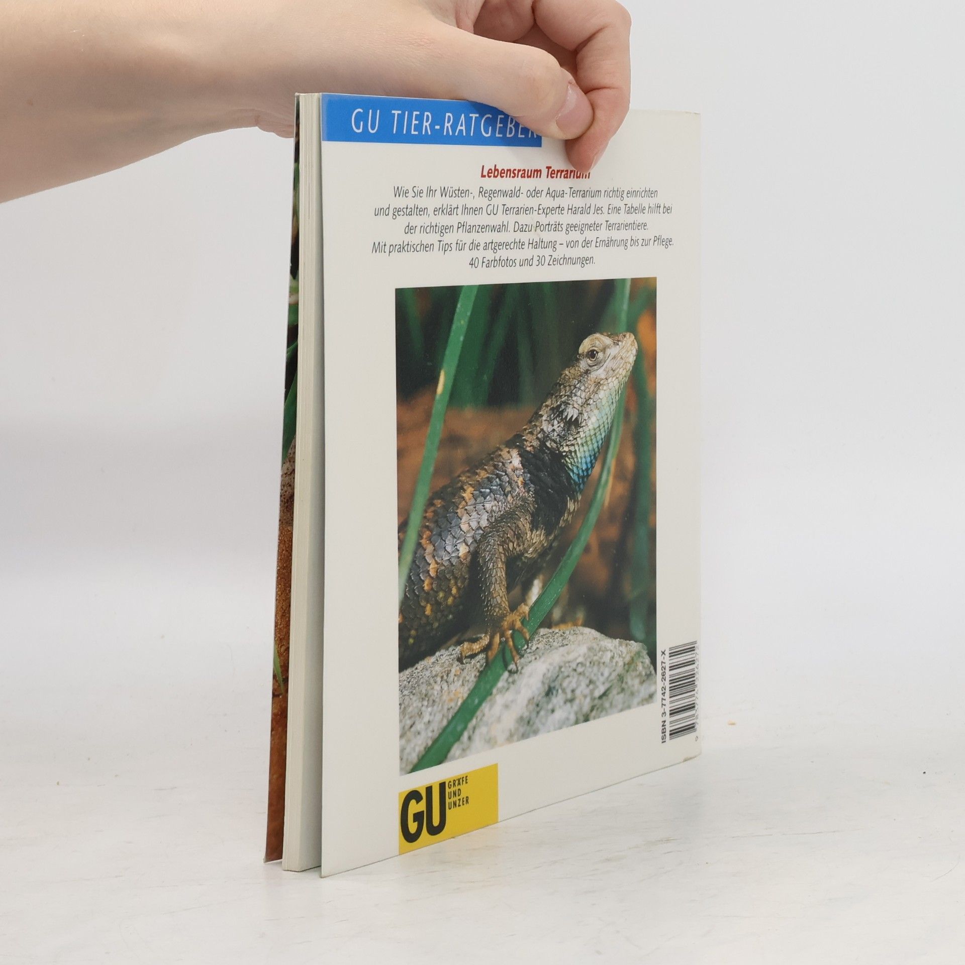 Herald Jes Das Terrarium einrichten und pflegen leicht gemacht