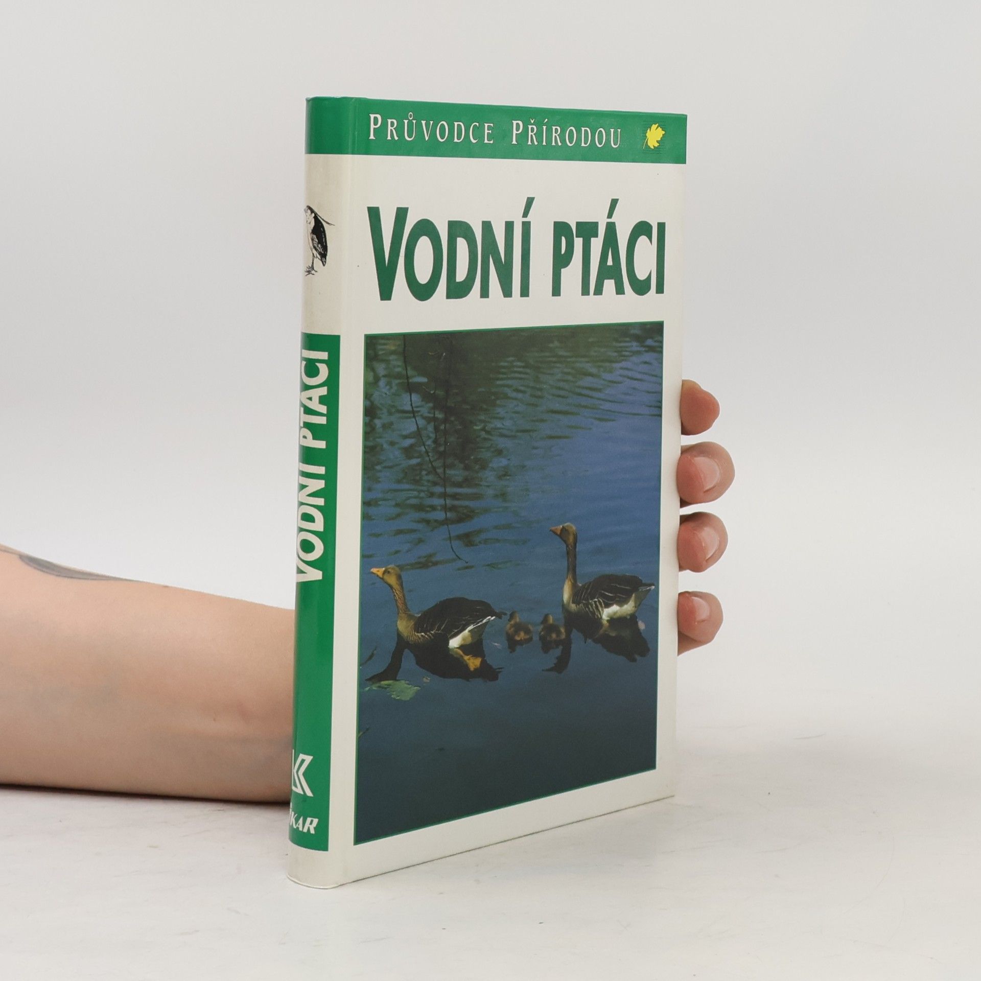 Friedhelm Sauer Vodní ptáci