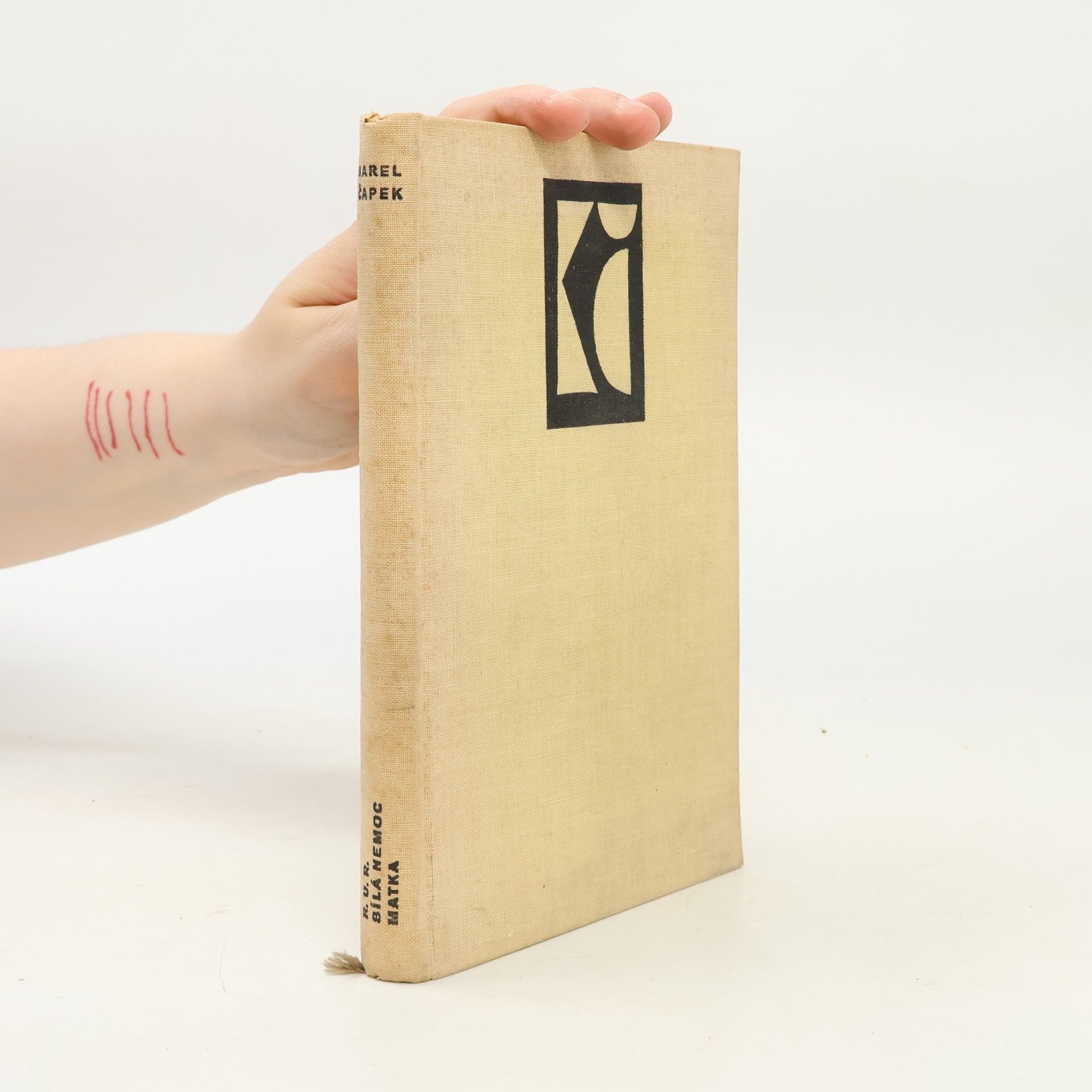 Karel Čapek R. U. R., Bílá nemoc, Matka