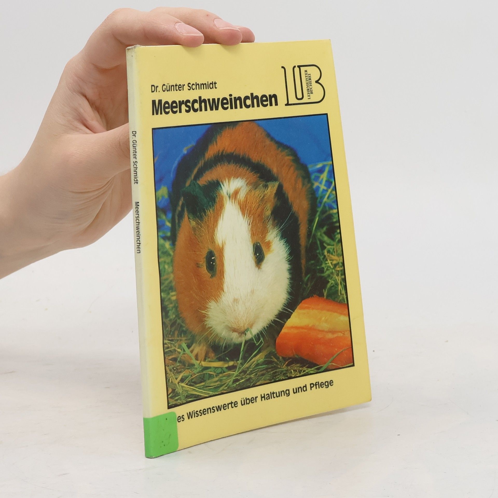 Günter Schmidt Meerschweinchen