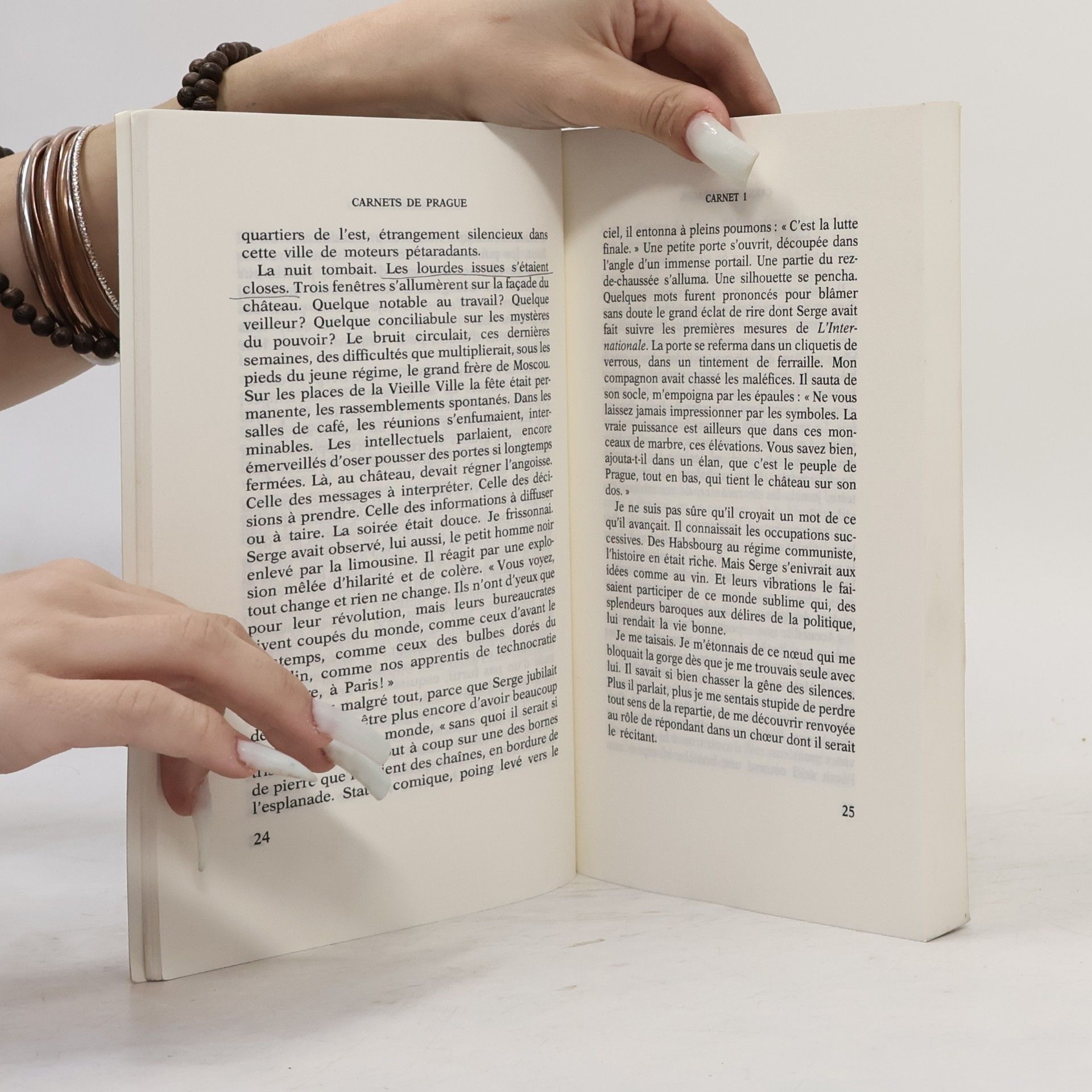 Huguette Bouchardeau Carnets de Prague