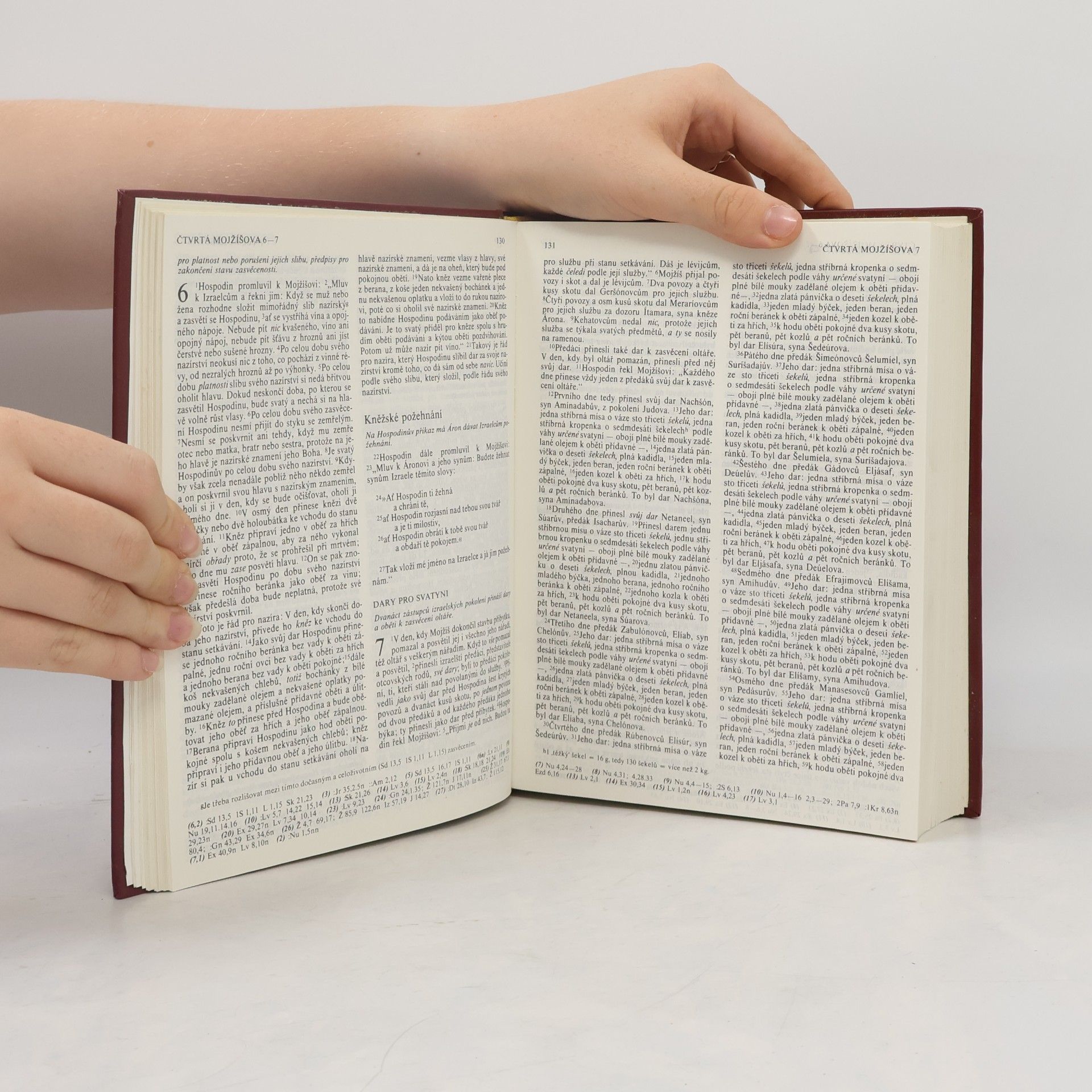 Kolektív autorov Bible. Písmo svaté Starého i Nového zákona. Ekumenický překlad