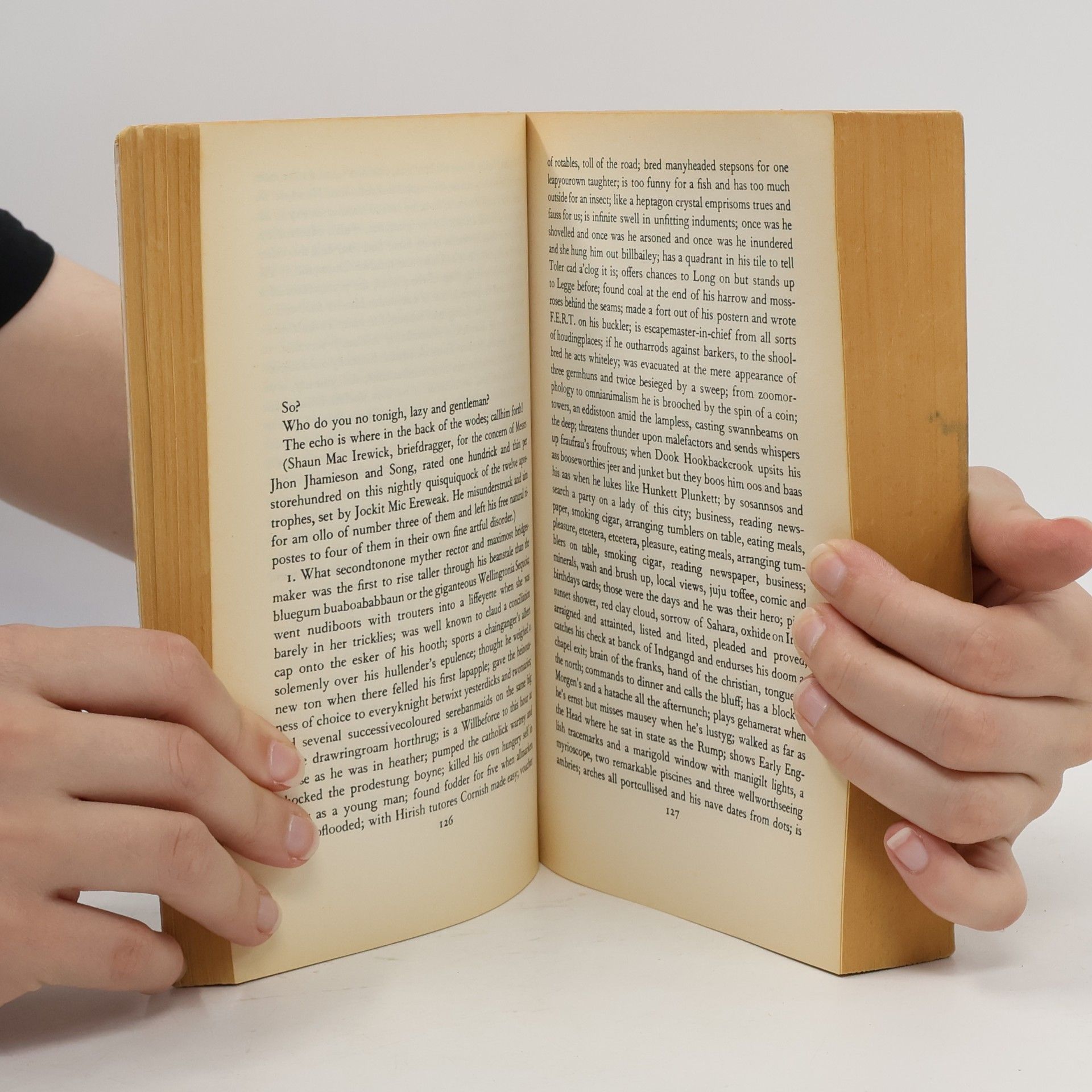 James Joyce Finnegans Wake