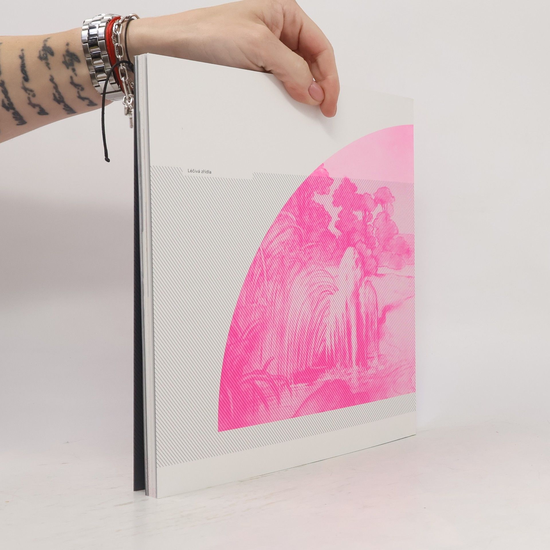 Ondřej Chrobák Mikoláš Aleš 1852–2007