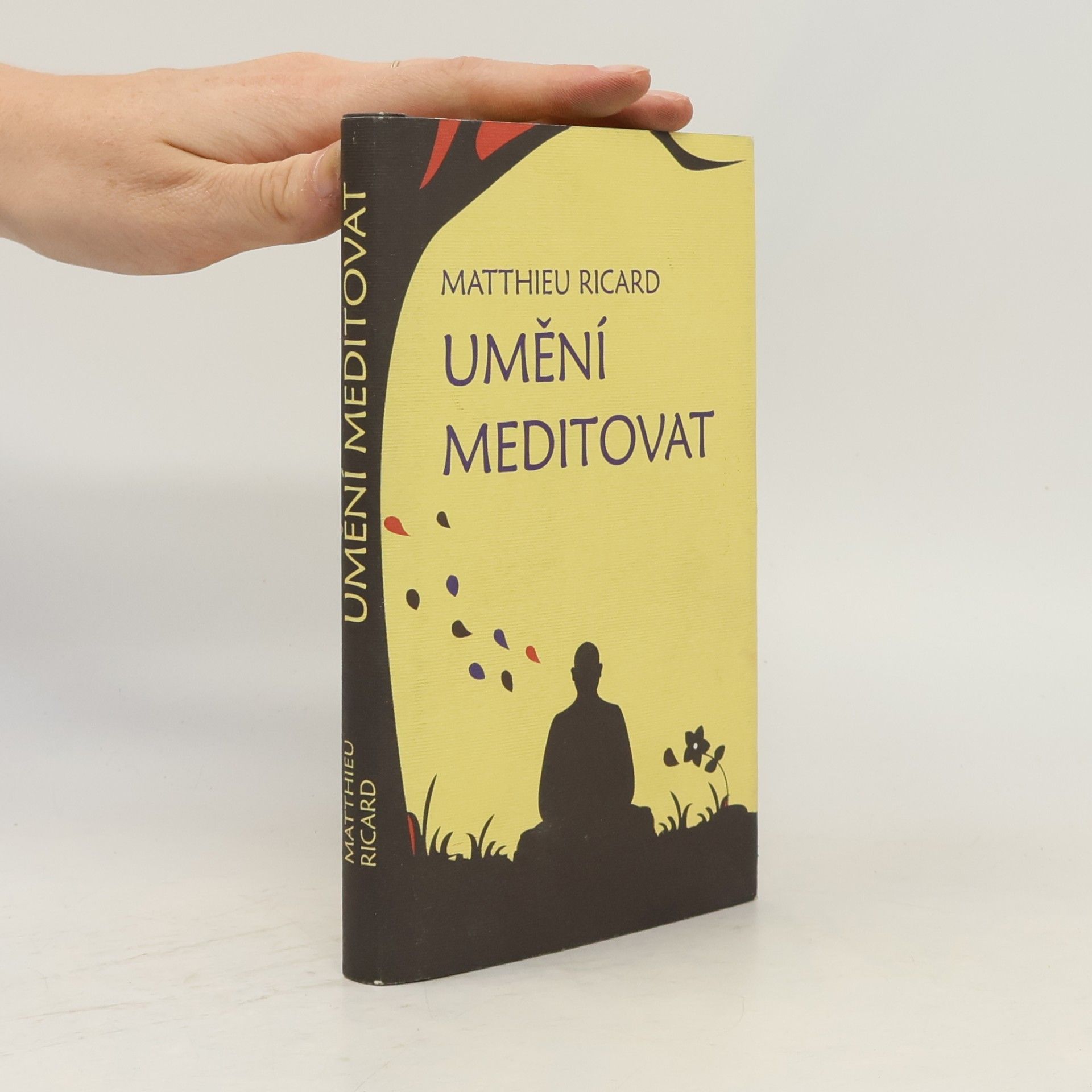 Ricard Matthieu Umění meditovat